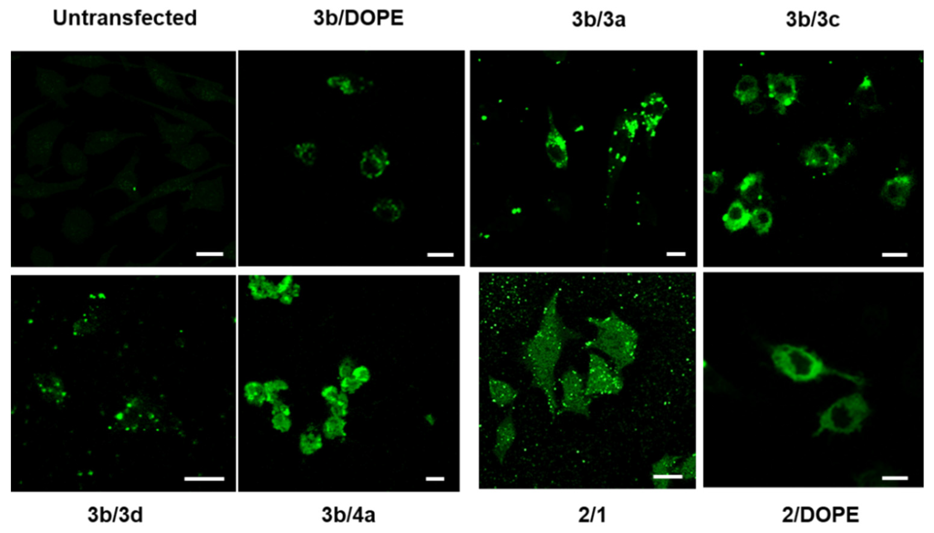 Pharmaceutics 14 00581 g004