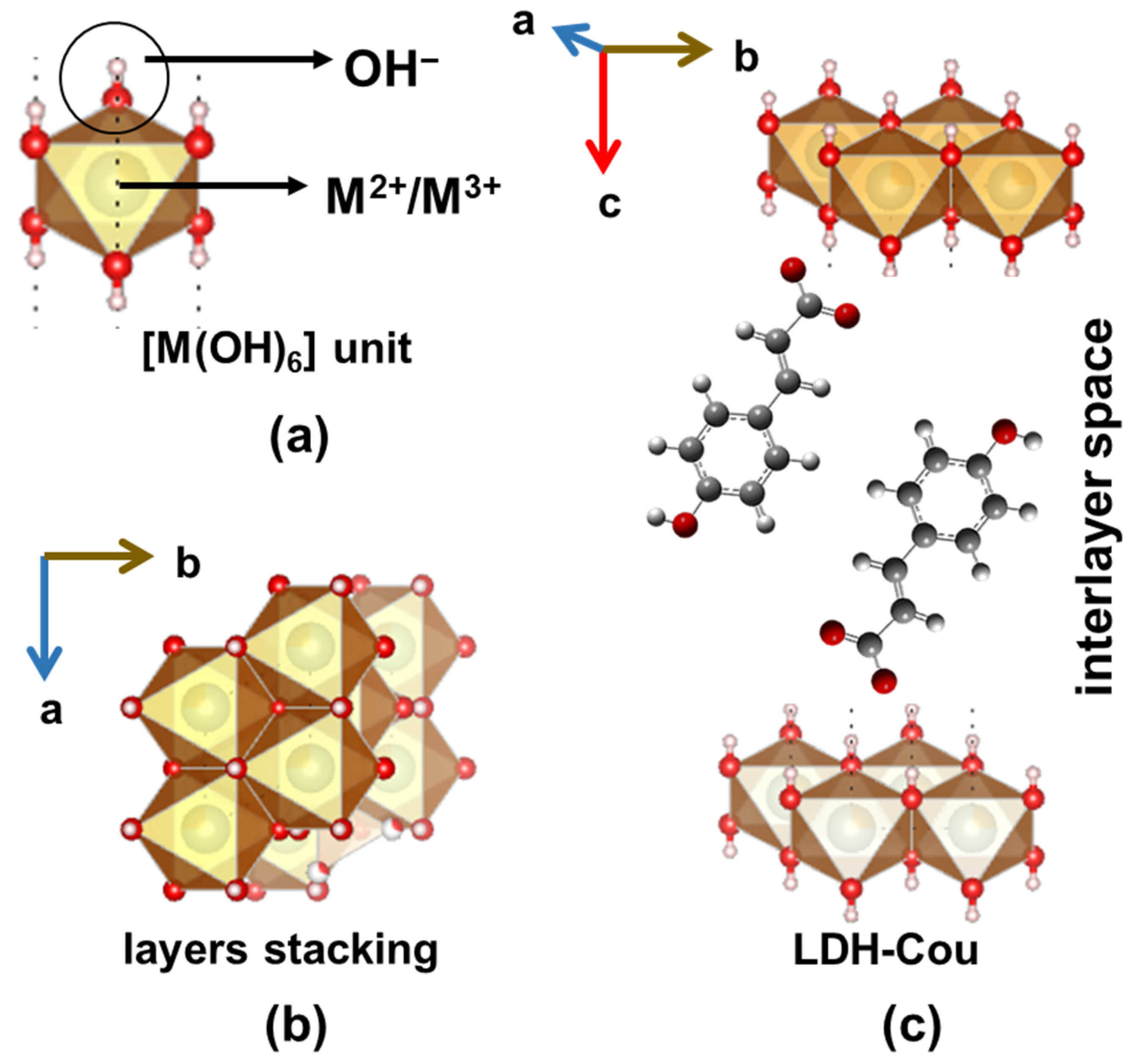 Pharmaceutics 14 00934 g001