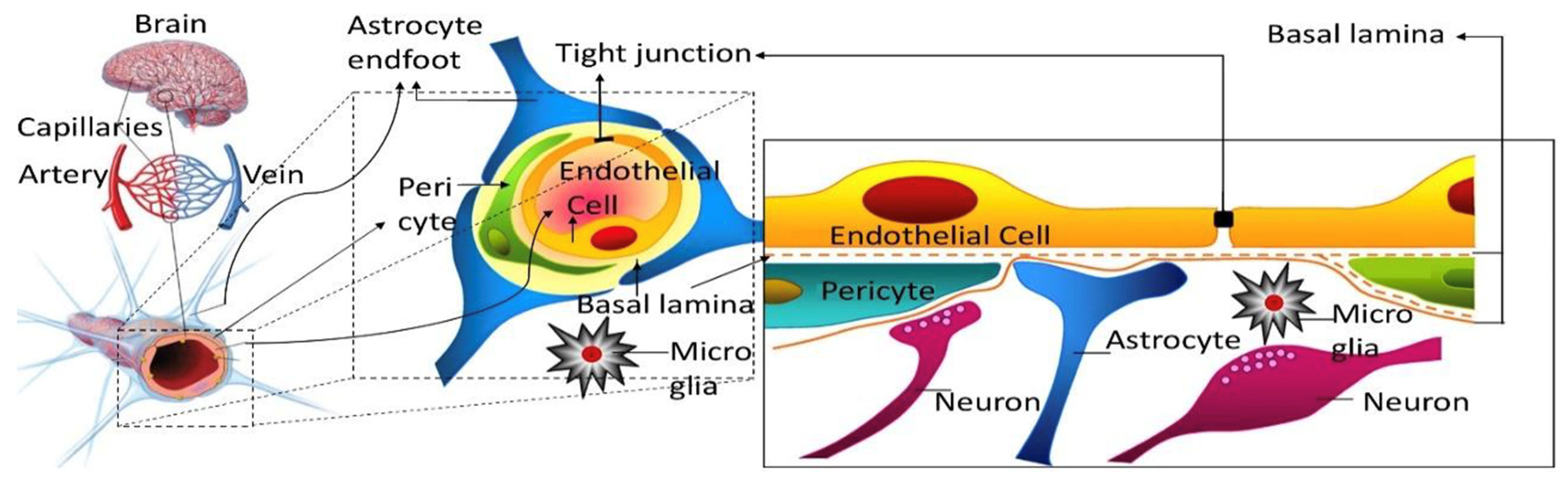 Pharmaceutics 14 01696 g001