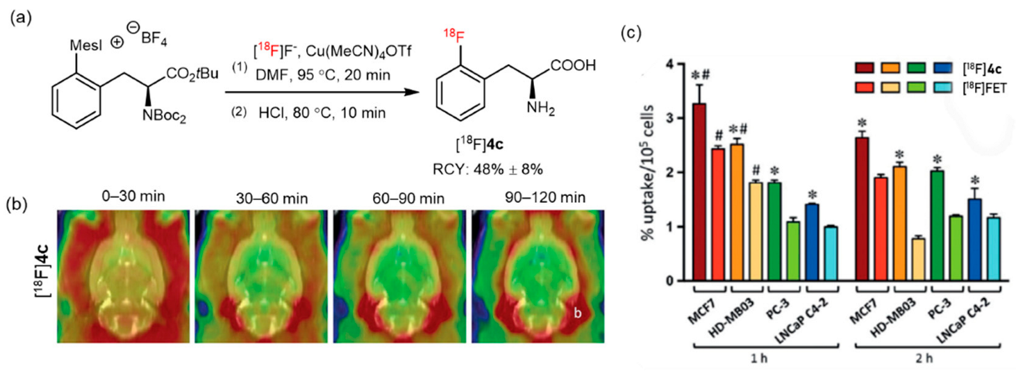 Pharmaceutics 14 02207 g005 Pharmaceutics 14 02207 g005
