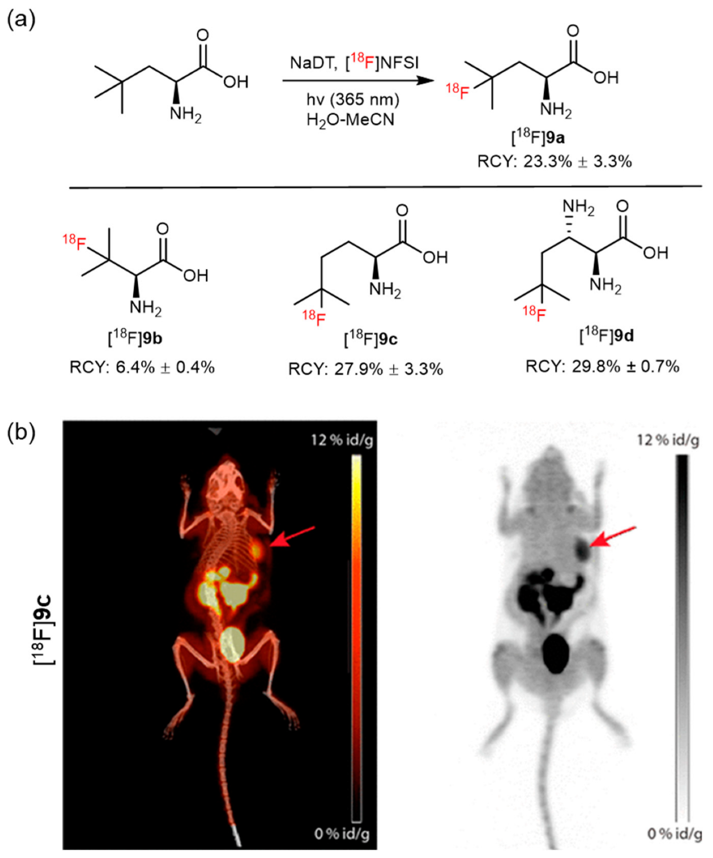 Pharmaceutics 14 02207 g011 Pharmaceutics 14 02207 g011