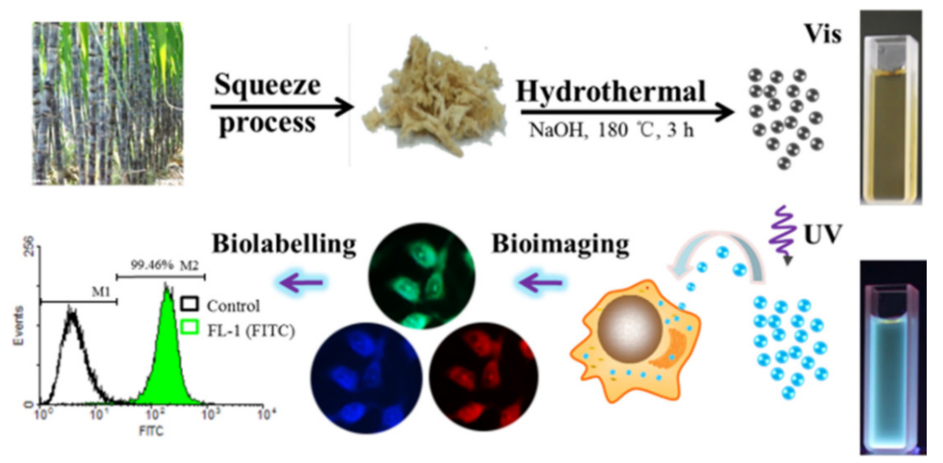 Pharmaceutics 14 02482 g006