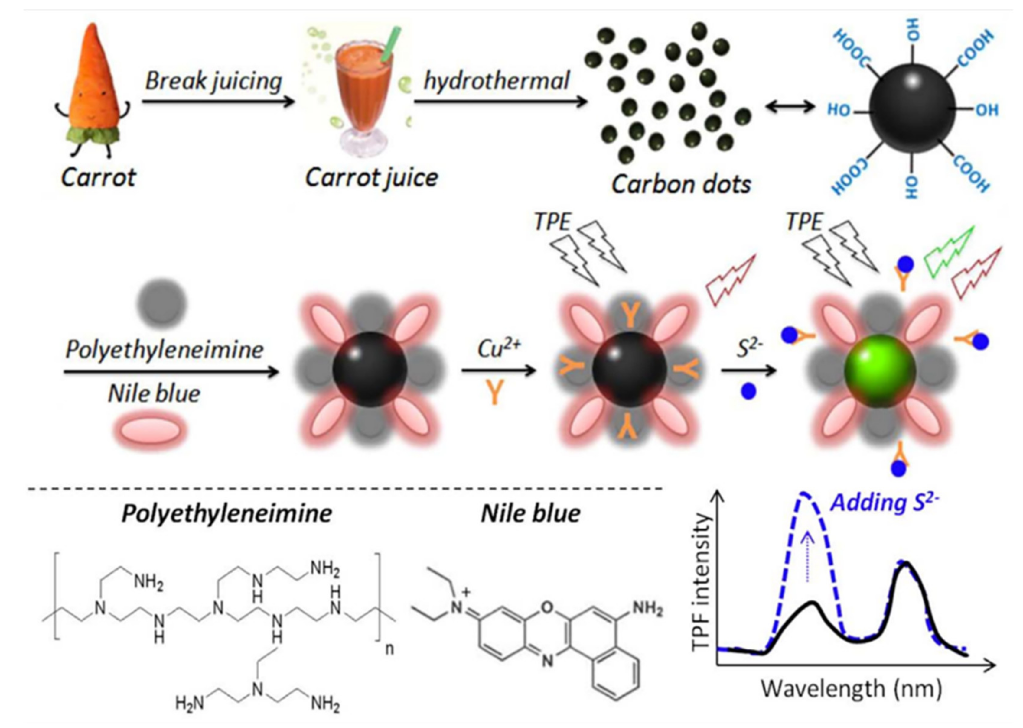Pharmaceutics 14 02482 g007