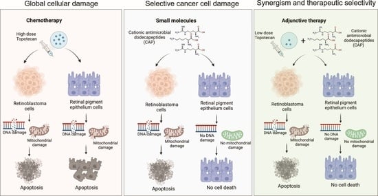 Pharmaceutics Free Full Text Selective Induction Of Intrinsic