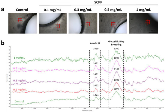 Pharmaceutics Free Full Text 3D Printed OsteoblastAlginate