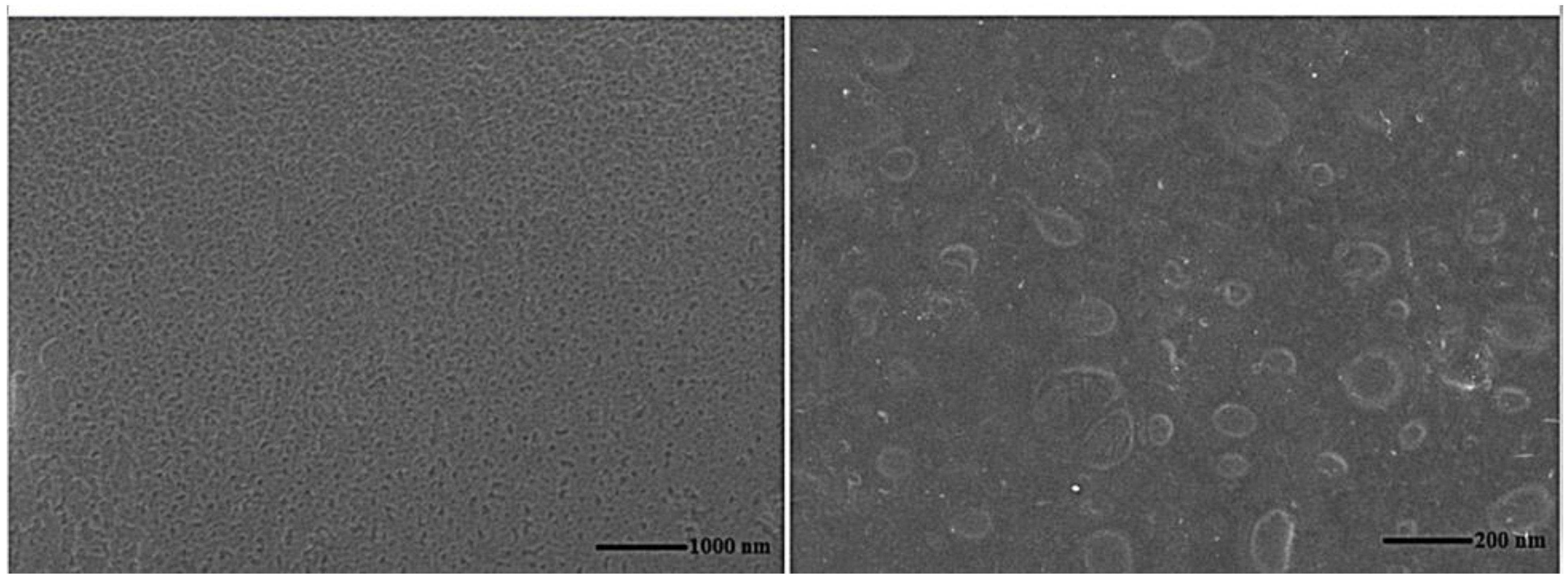 Pharmaceutics 15 00173 g003