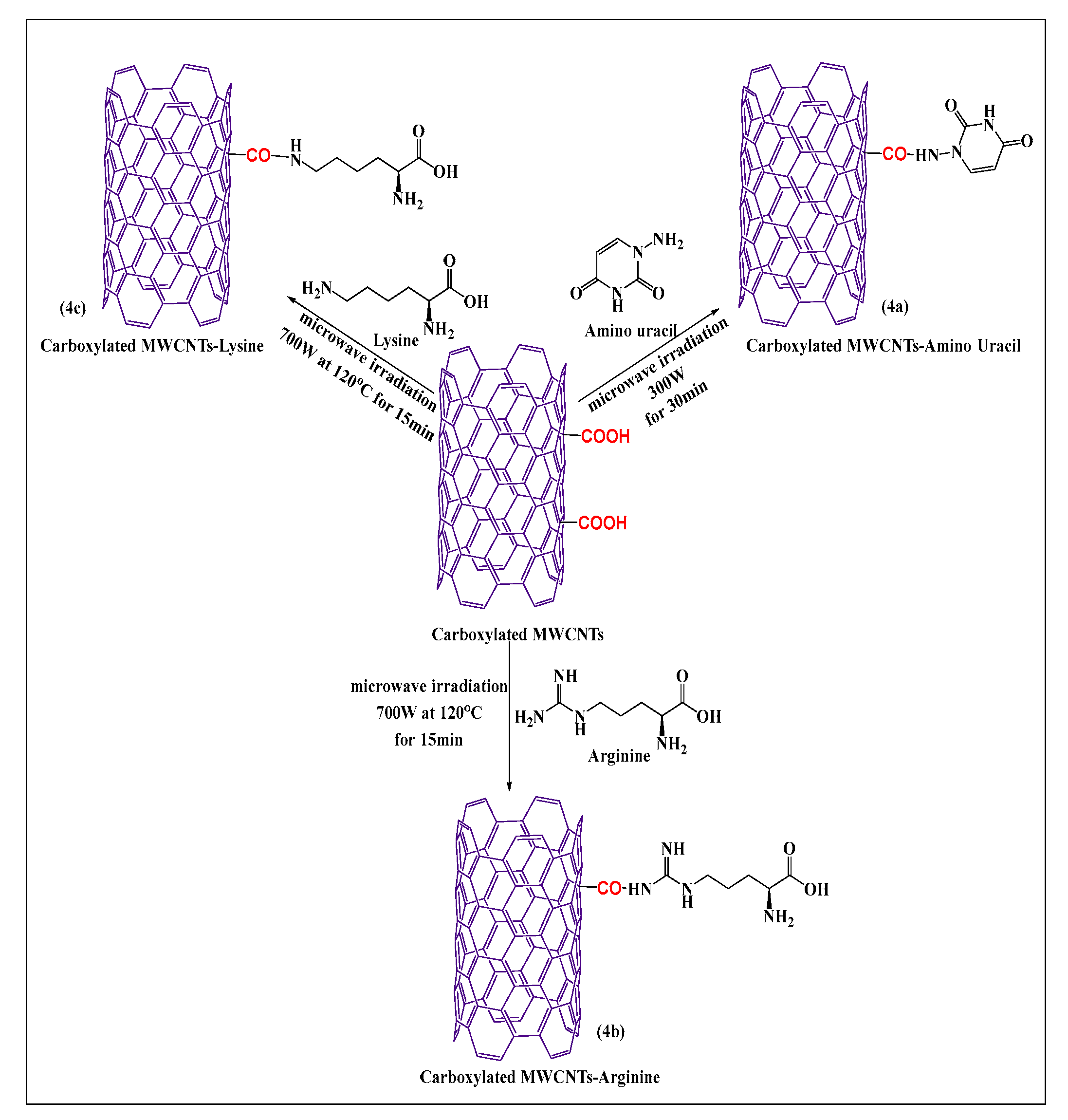 Pharmaceutics Free Full Text Microwave Assisted Functionalization