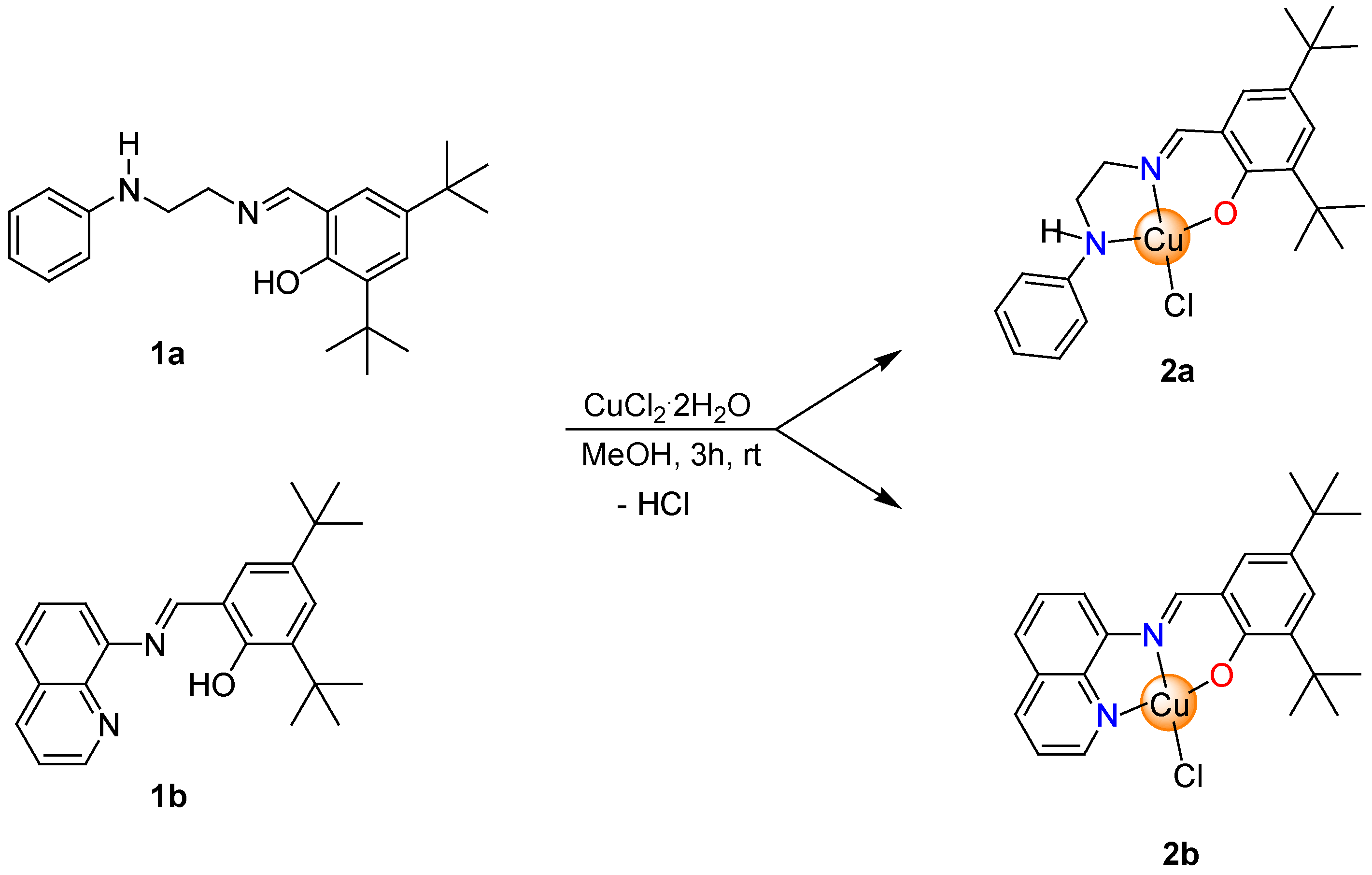 Pharmaceutics 15 00376 sch001