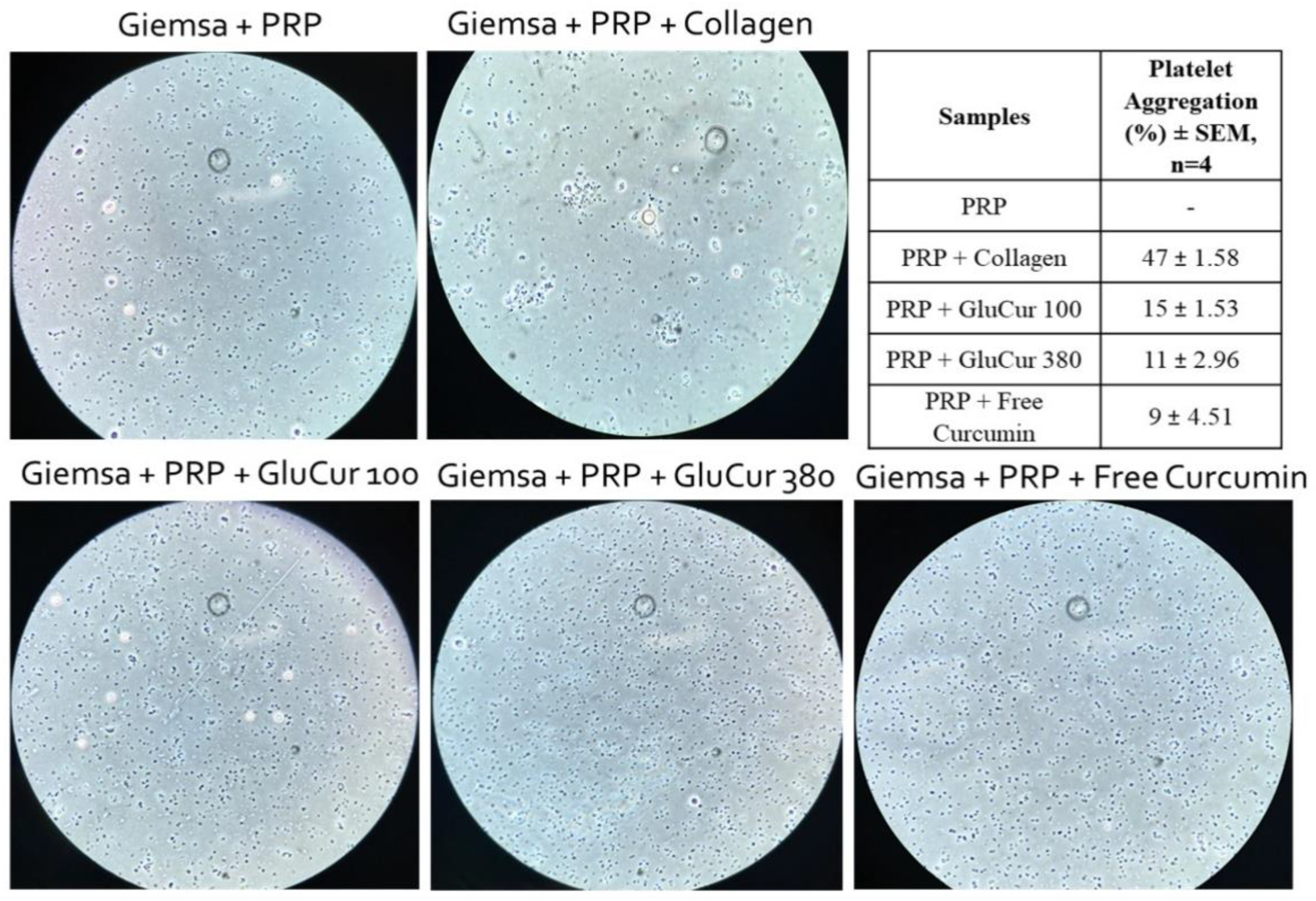 Pharmaceutics 15 00623 g003