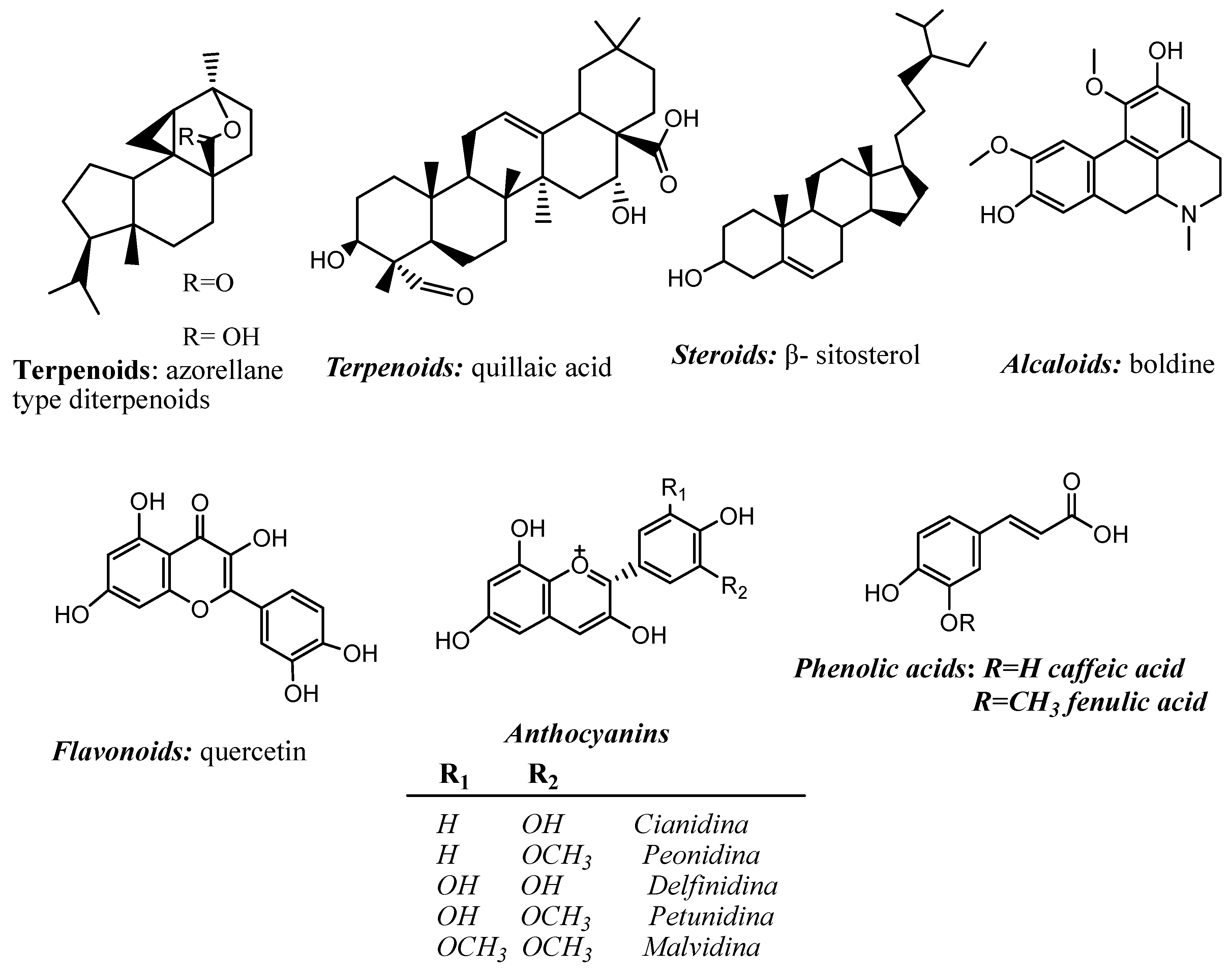 Pharmaceutics 15 00897 g001 Pharmaceutics 15 00897 g001