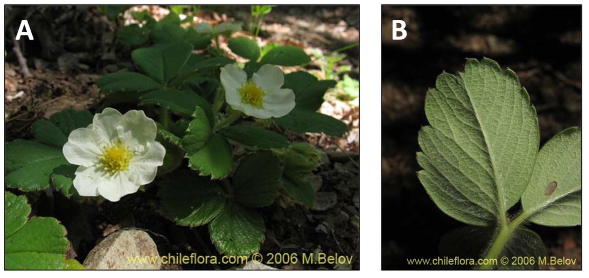 Pharmaceutics 15 00897 g009 Pharmaceutics 15 00897 g009