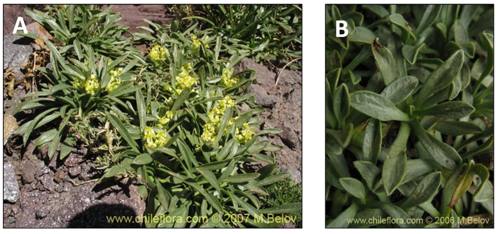 Pharmaceutics 15 00897 g013 Pharmaceutics 15 00897 g013