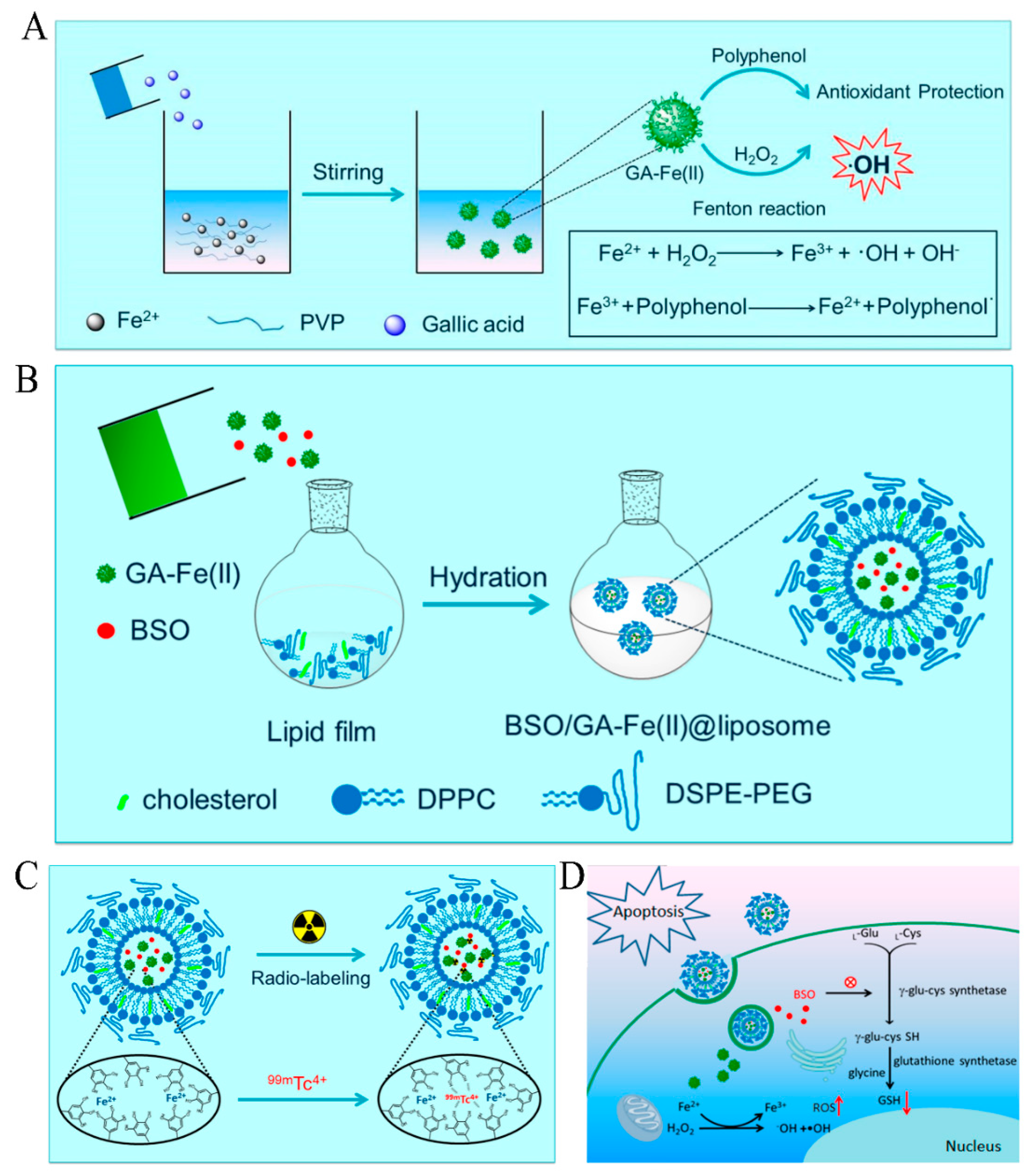 Pharmaceutics 15 01323 g003