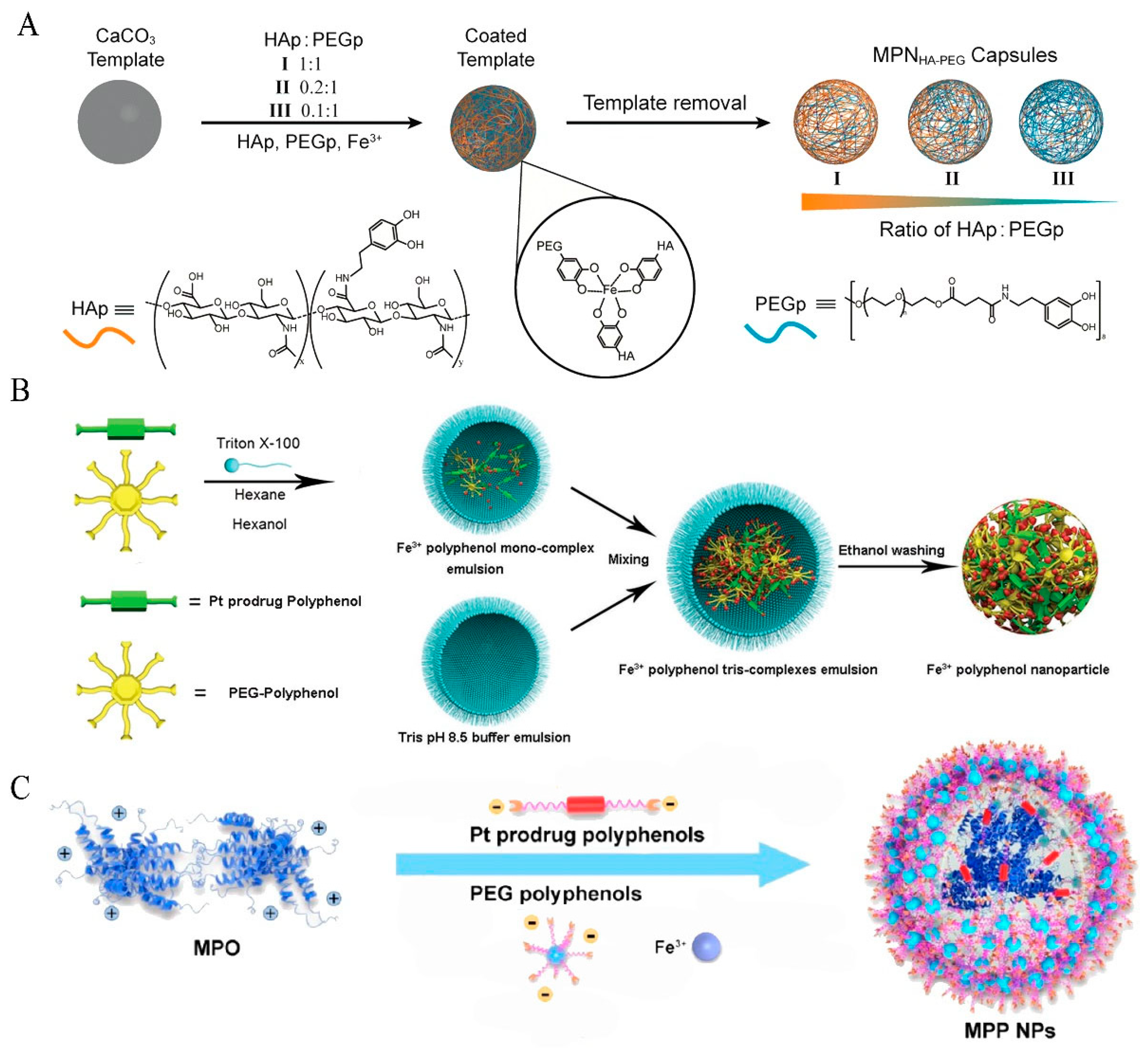 Pharmaceutics 15 01323 g005