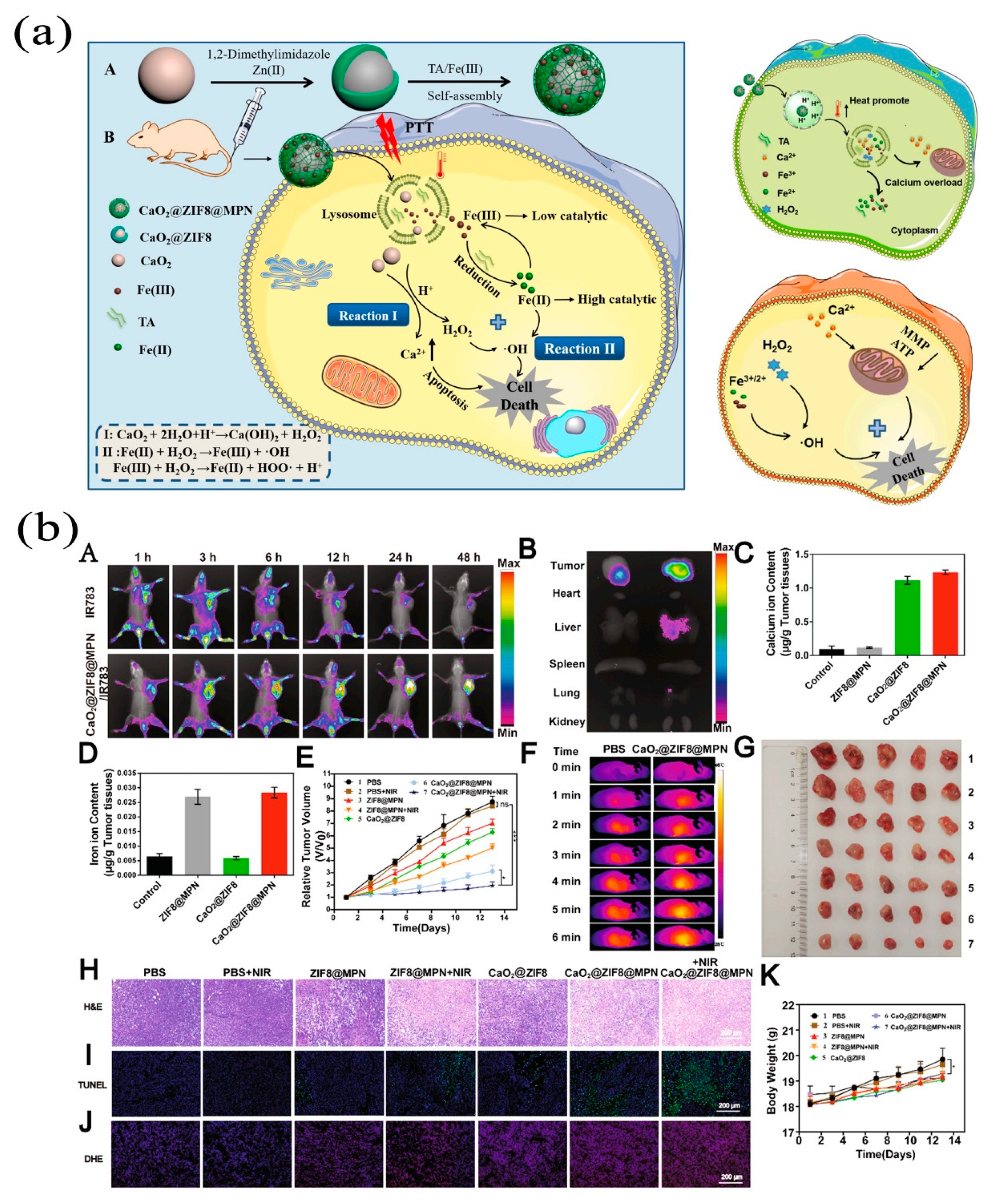Pharmaceutics 15 01323 g008