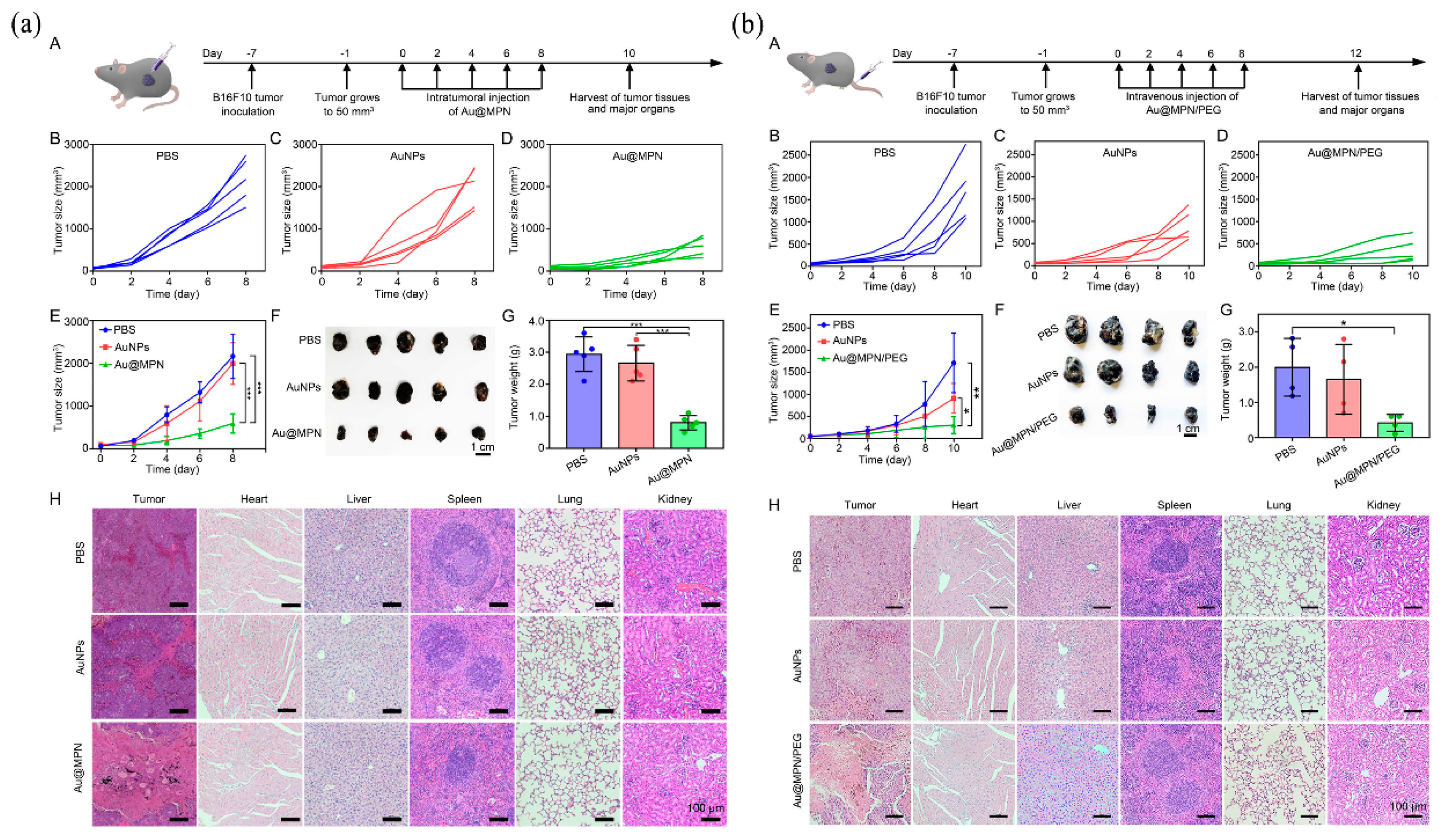 Pharmaceutics 15 01323 g010