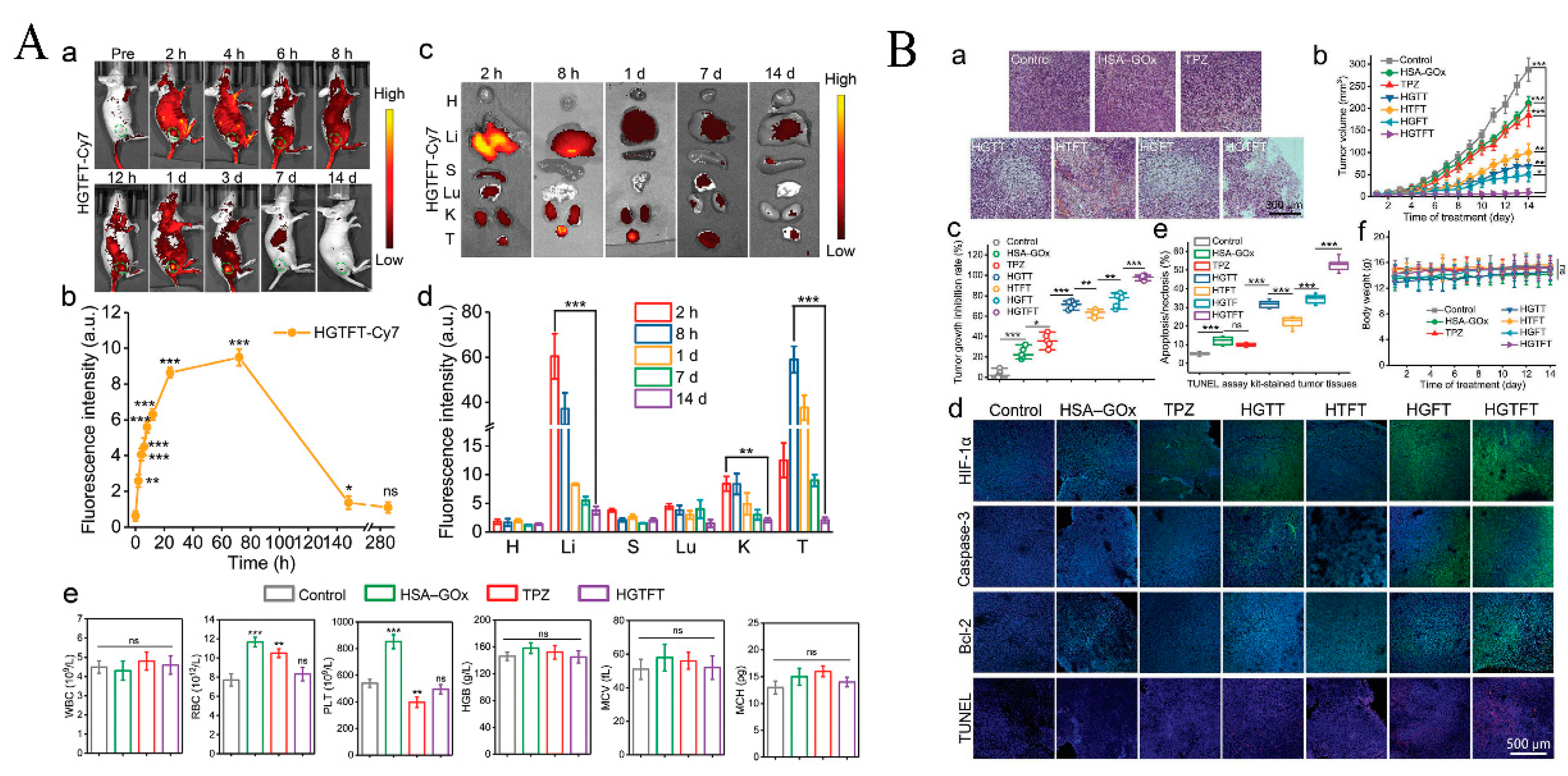 Pharmaceutics 15 01323 g012
