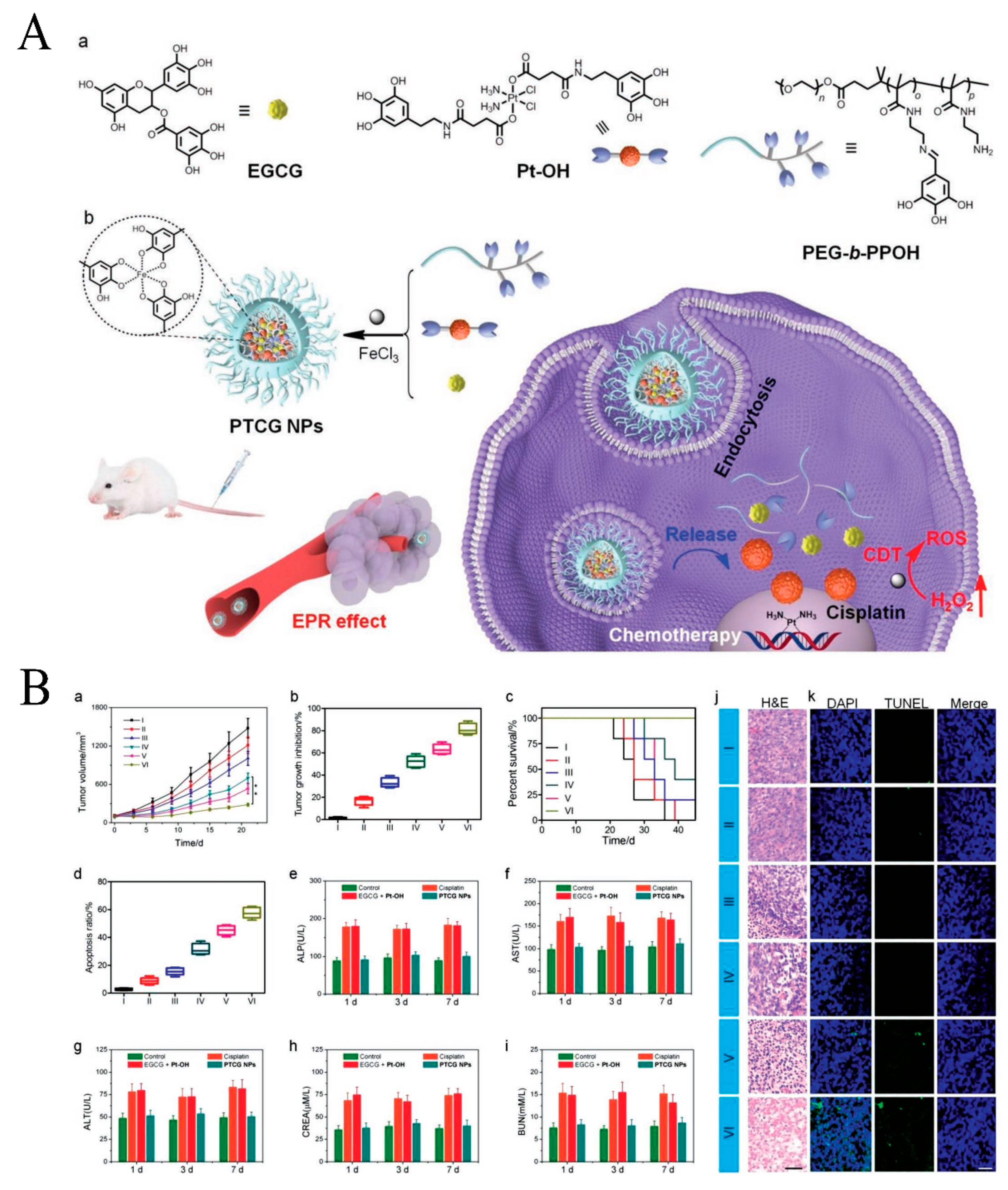 Pharmaceutics 15 01323 g014