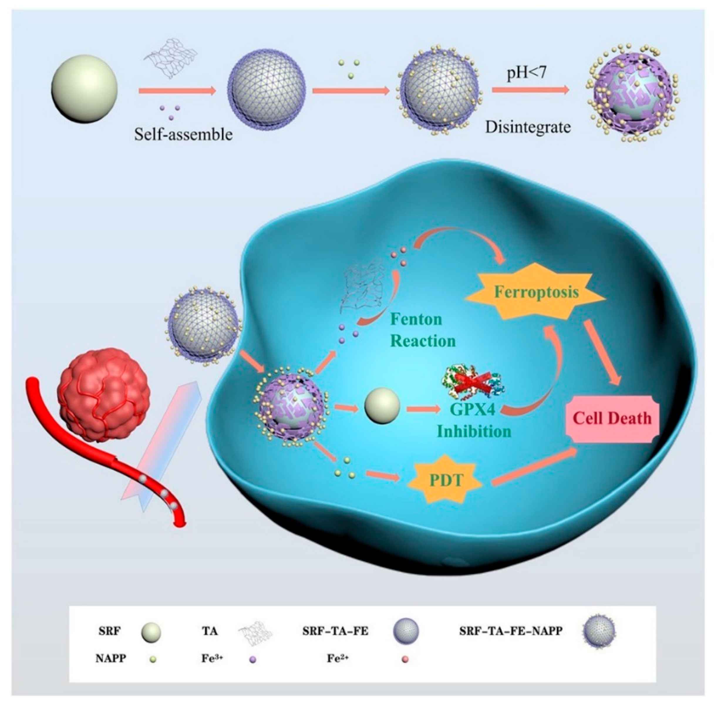 Pharmaceutics 15 01323 g016
