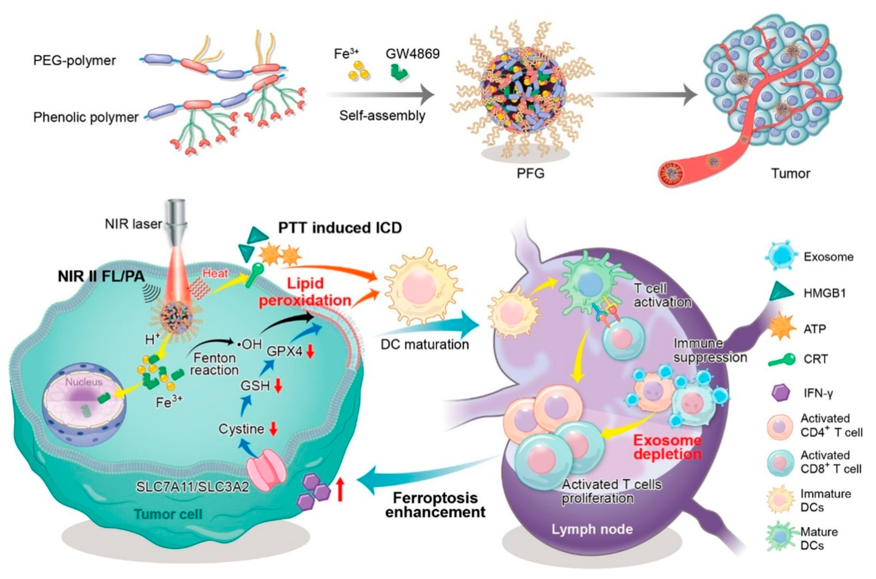 Pharmaceutics 15 01323 g018