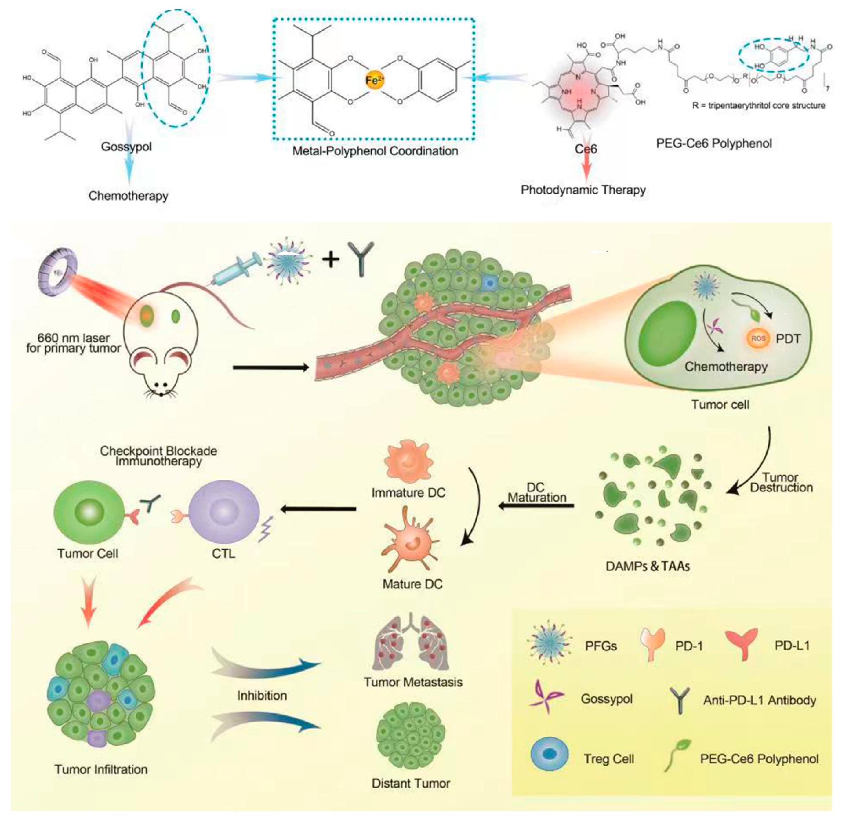 Pharmaceutics 15 01323 g019