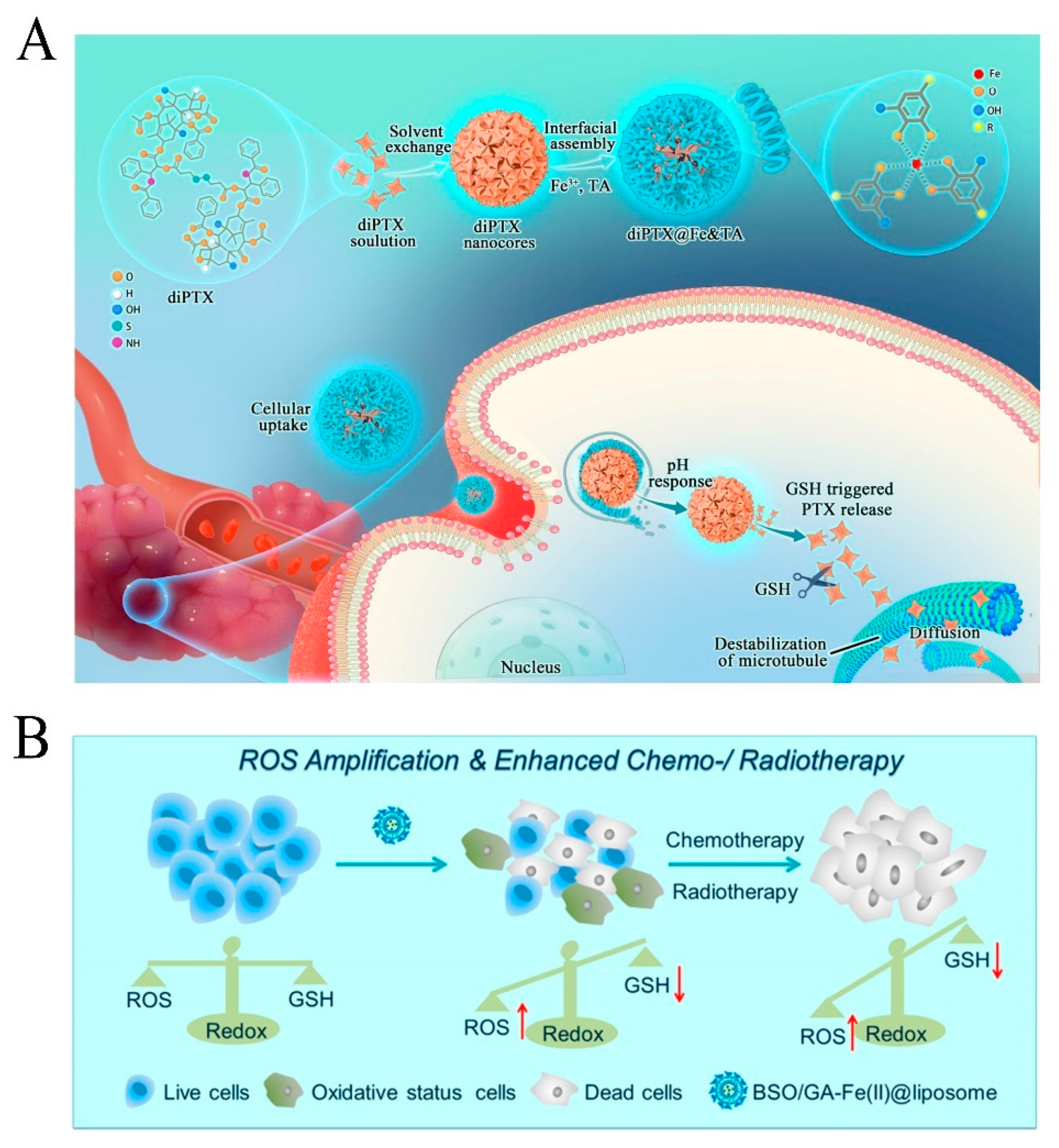 Pharmaceutics 15 01323 g020