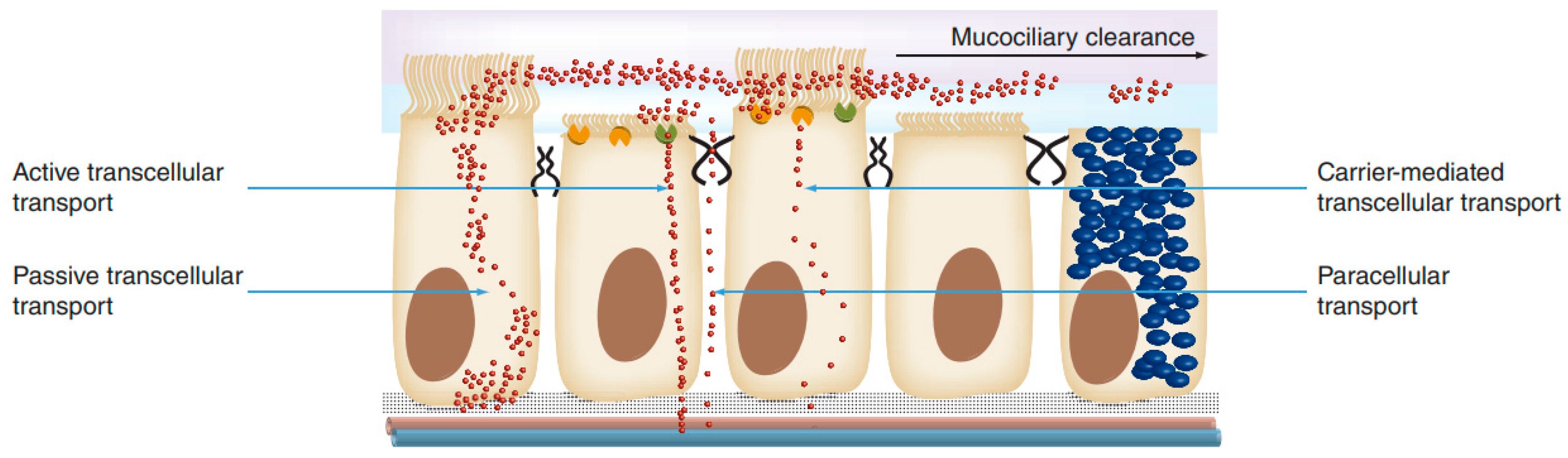 Pharmaceutics 15 01399 g005