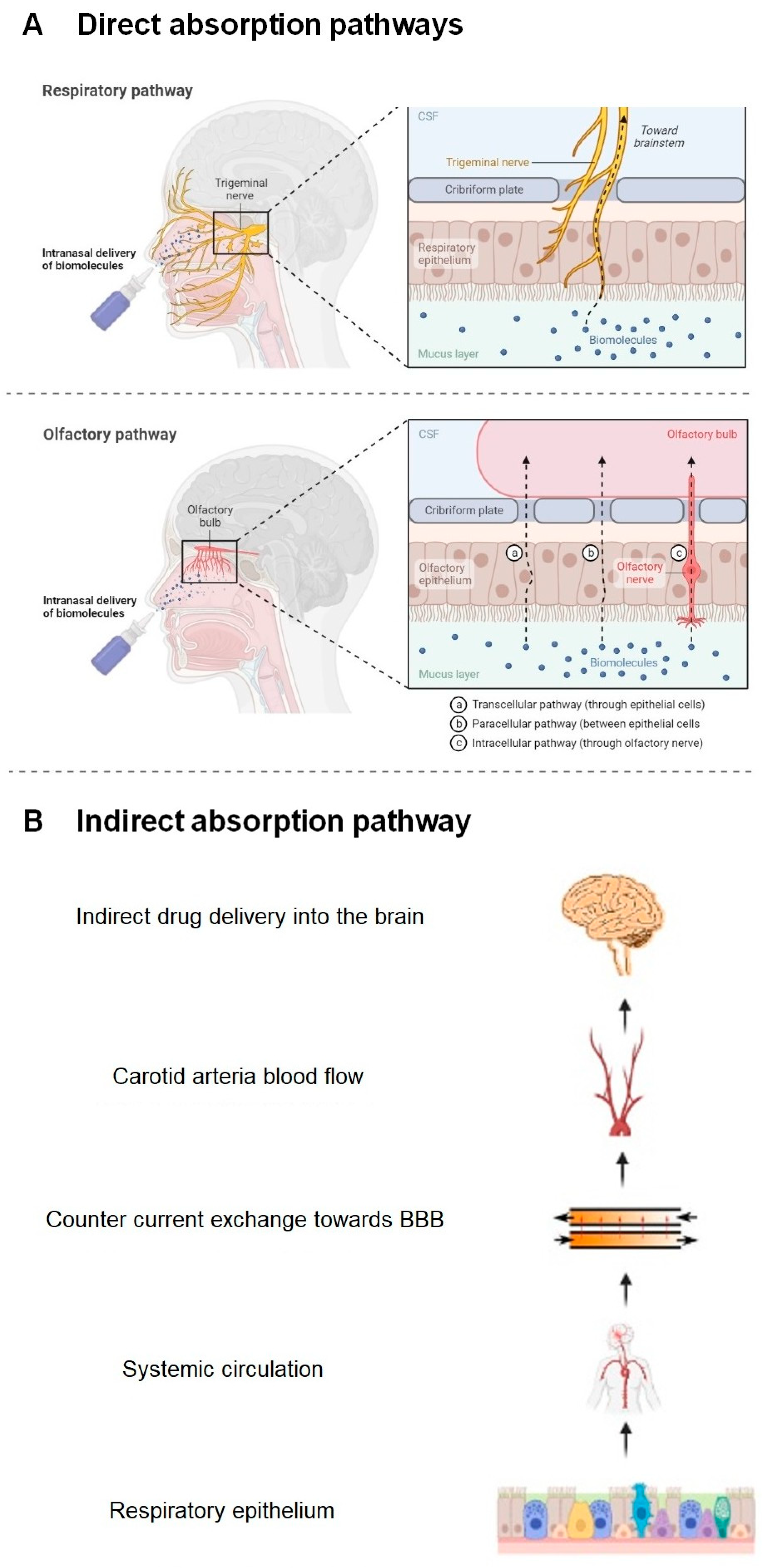 Pharmaceutics 15 01399 g008