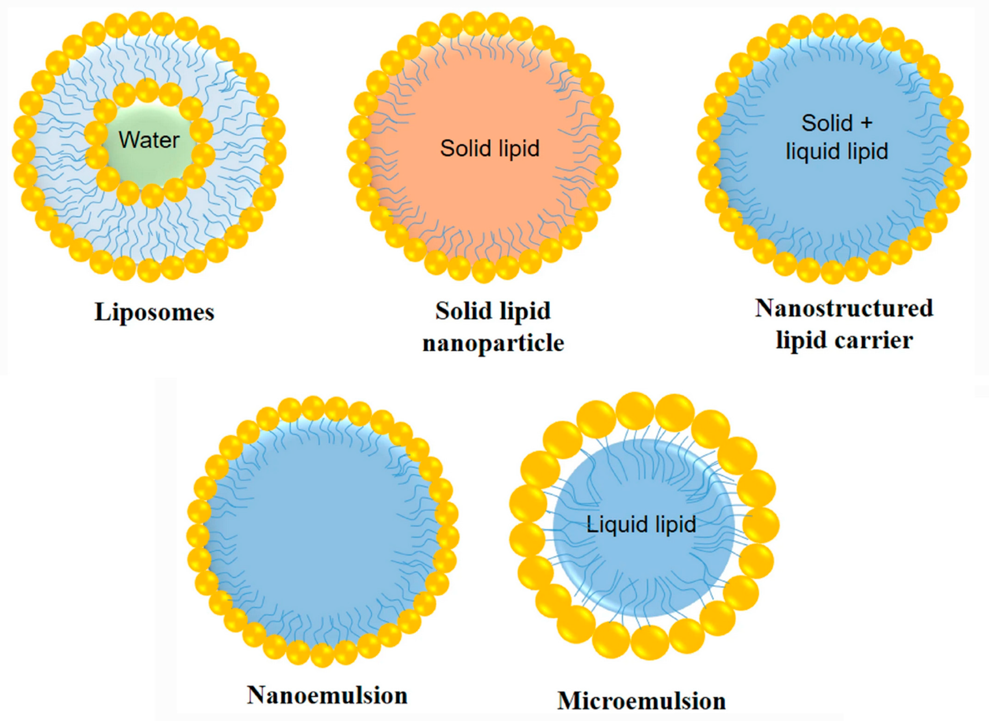 Pharmaceutics 15 01399 g009