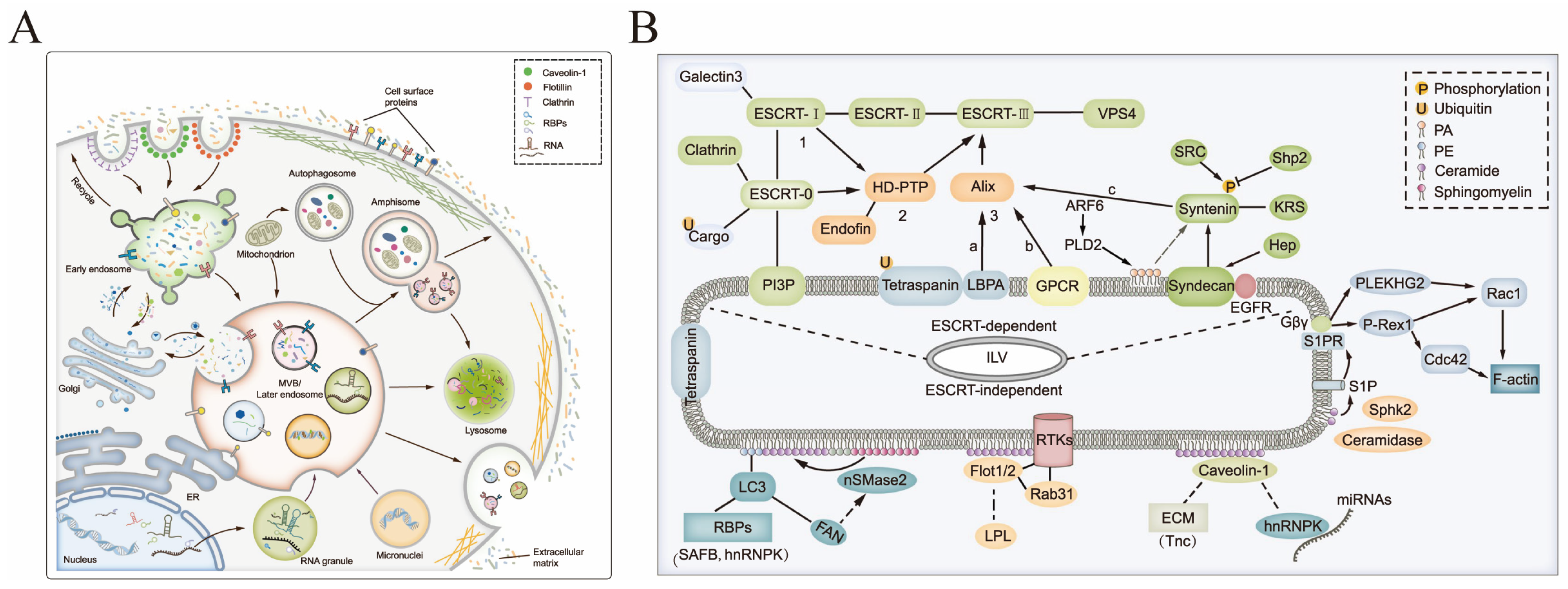 Pharmaceutics 15 01418 g002