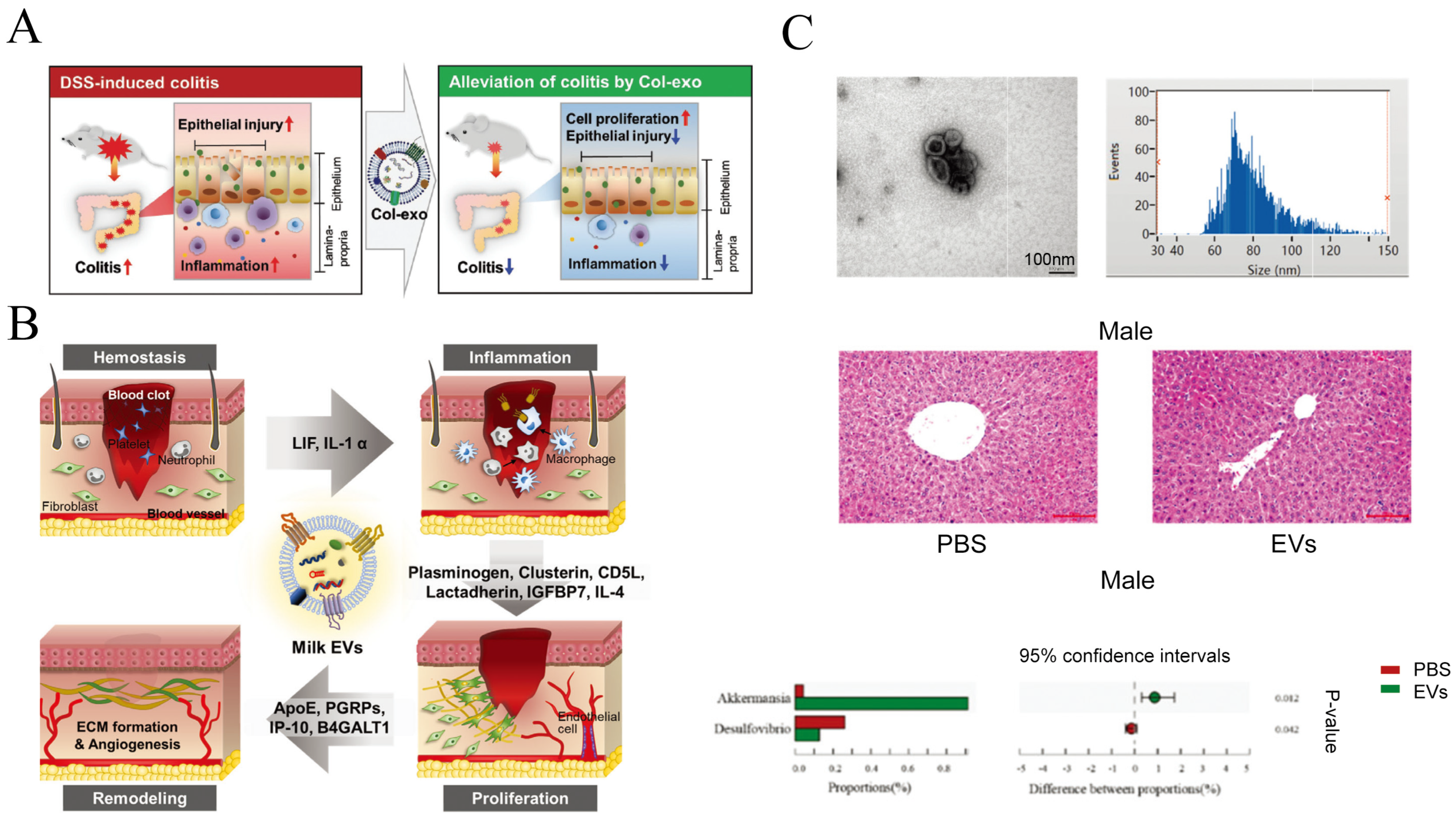Pharmaceutics 15 01418 g005