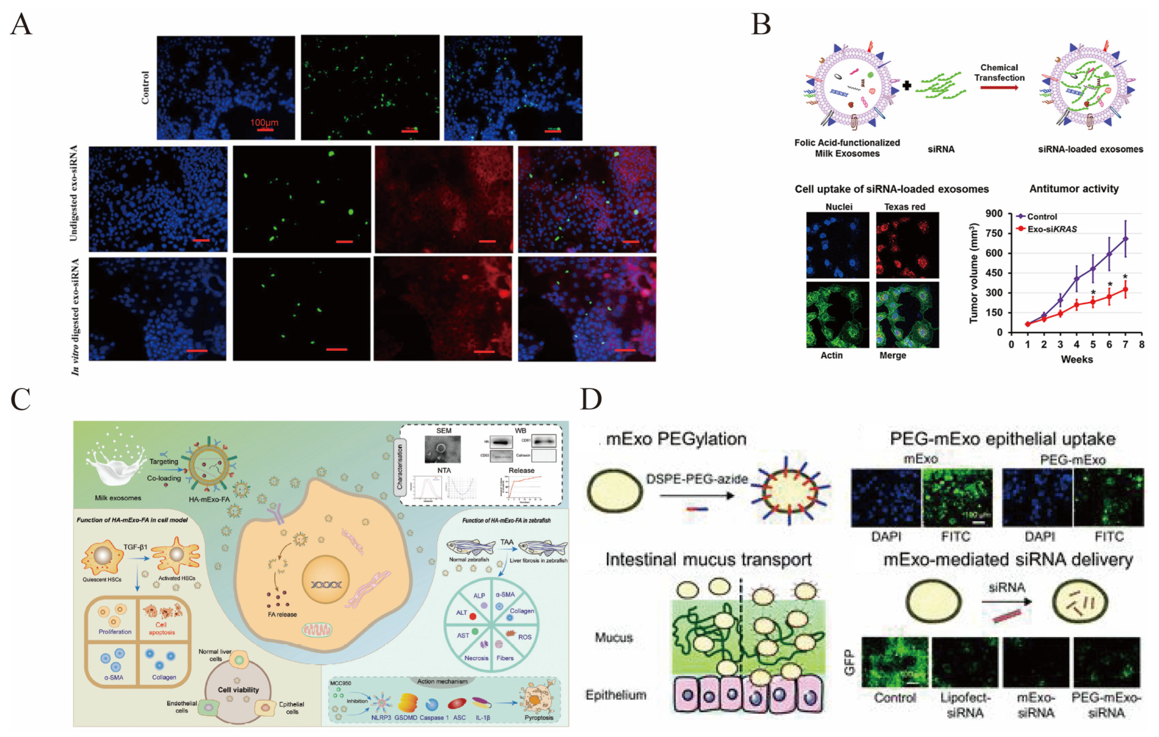 Pharmaceutics 15 01418 g006