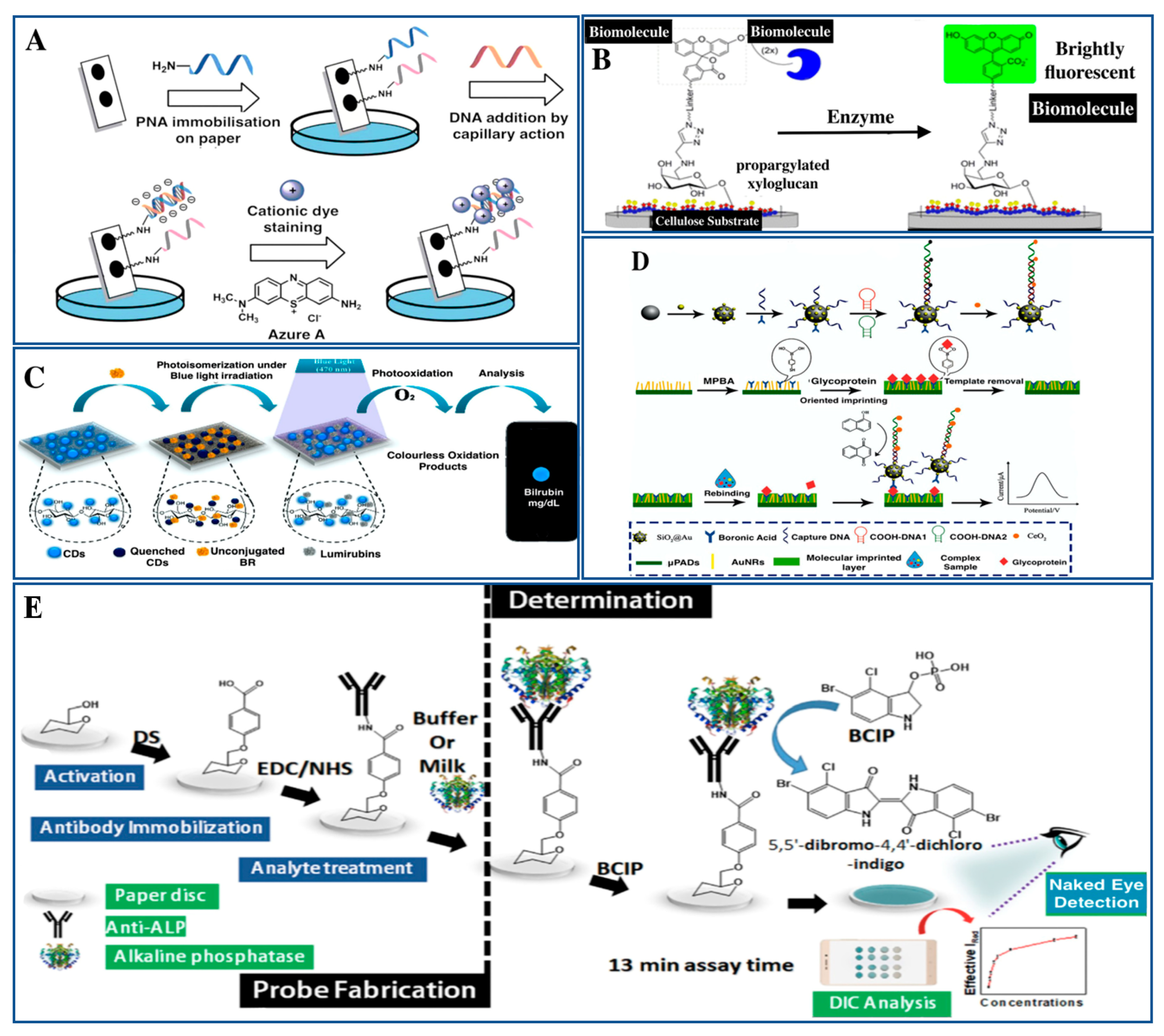 Pharmaceutics 15 01630 g007