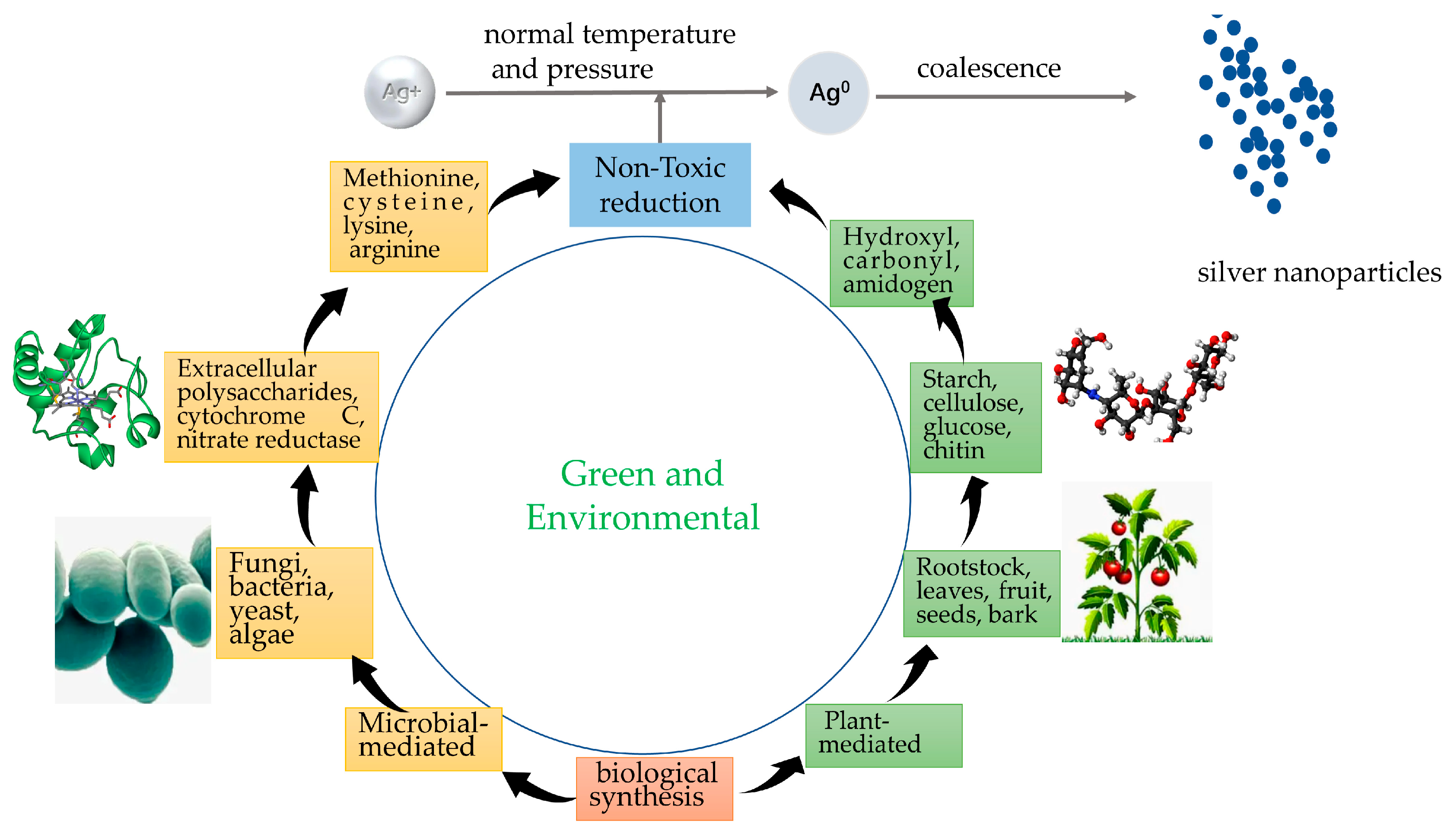Pharmaceutics 15 01783 g004