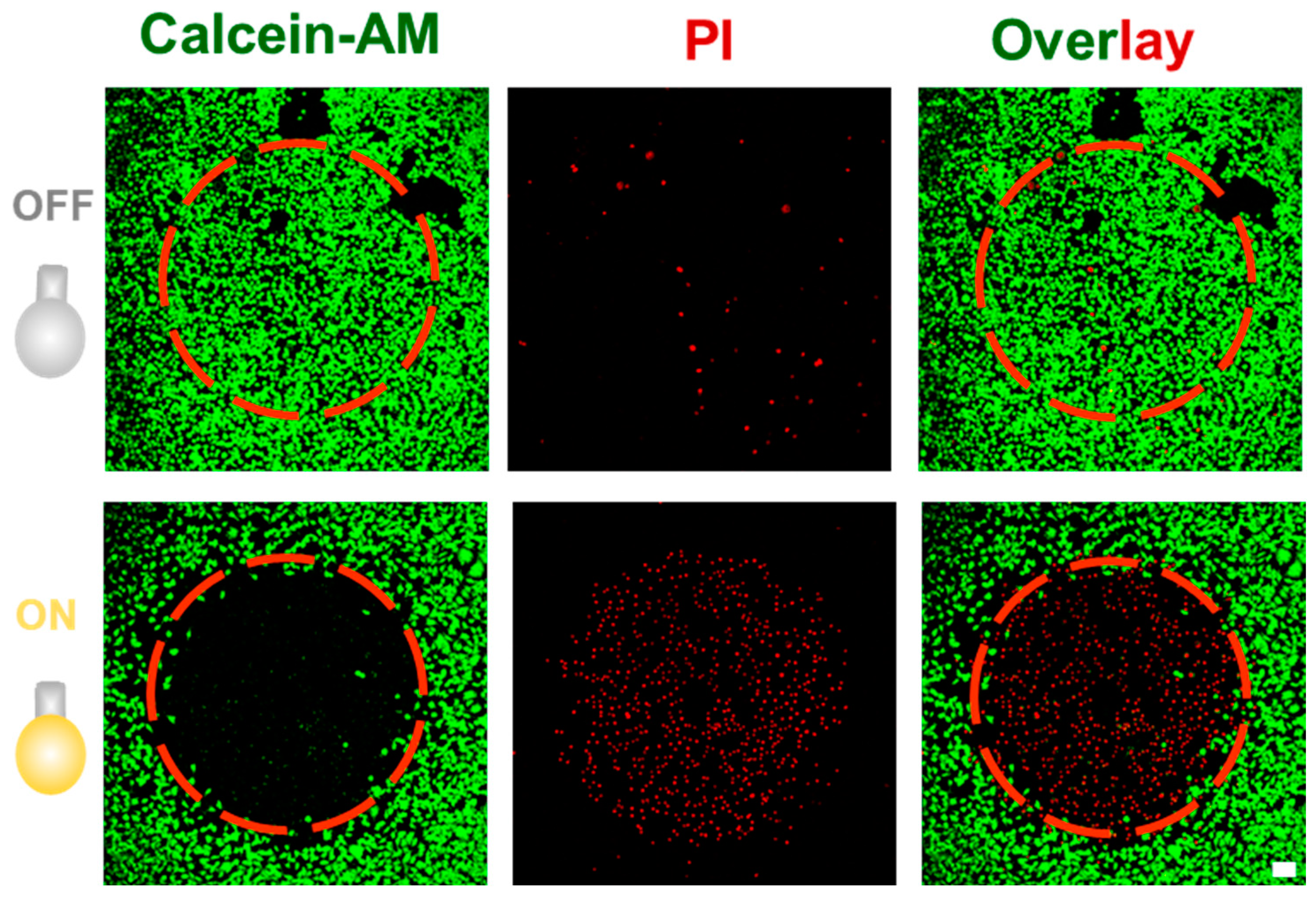 Pharmaceutics 15 01986 g005