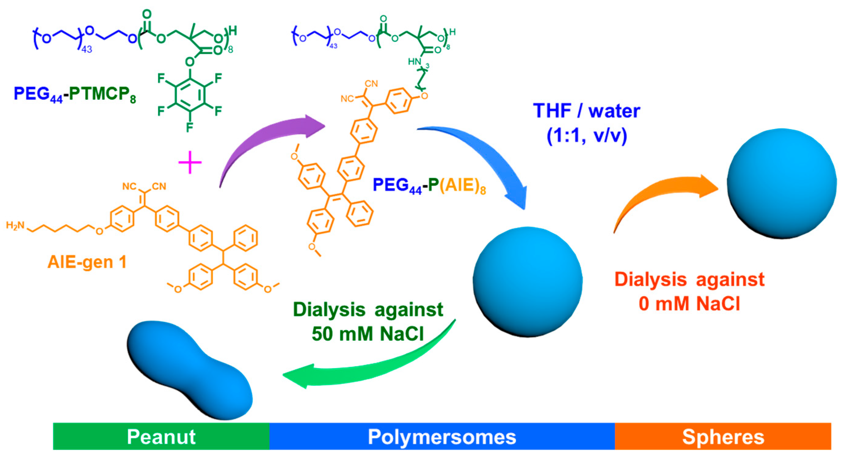 Pharmaceutics 15 01986 sch001