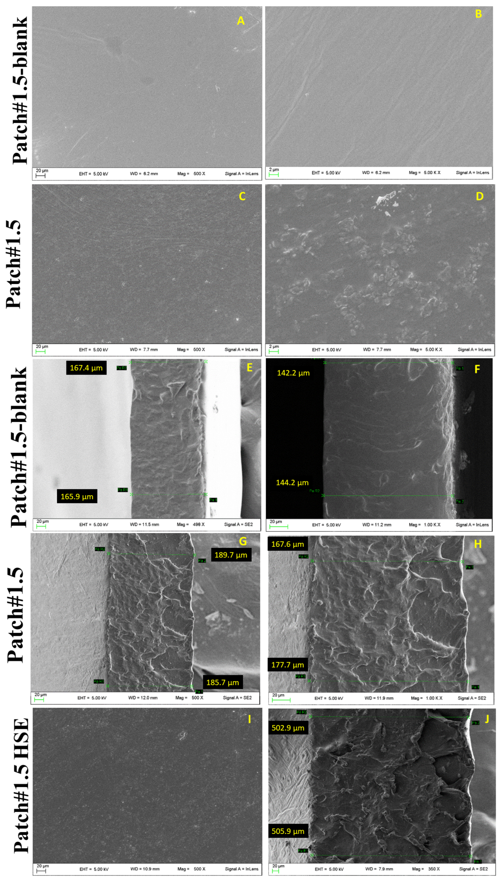 Pharmaceutics 15 02057 g001