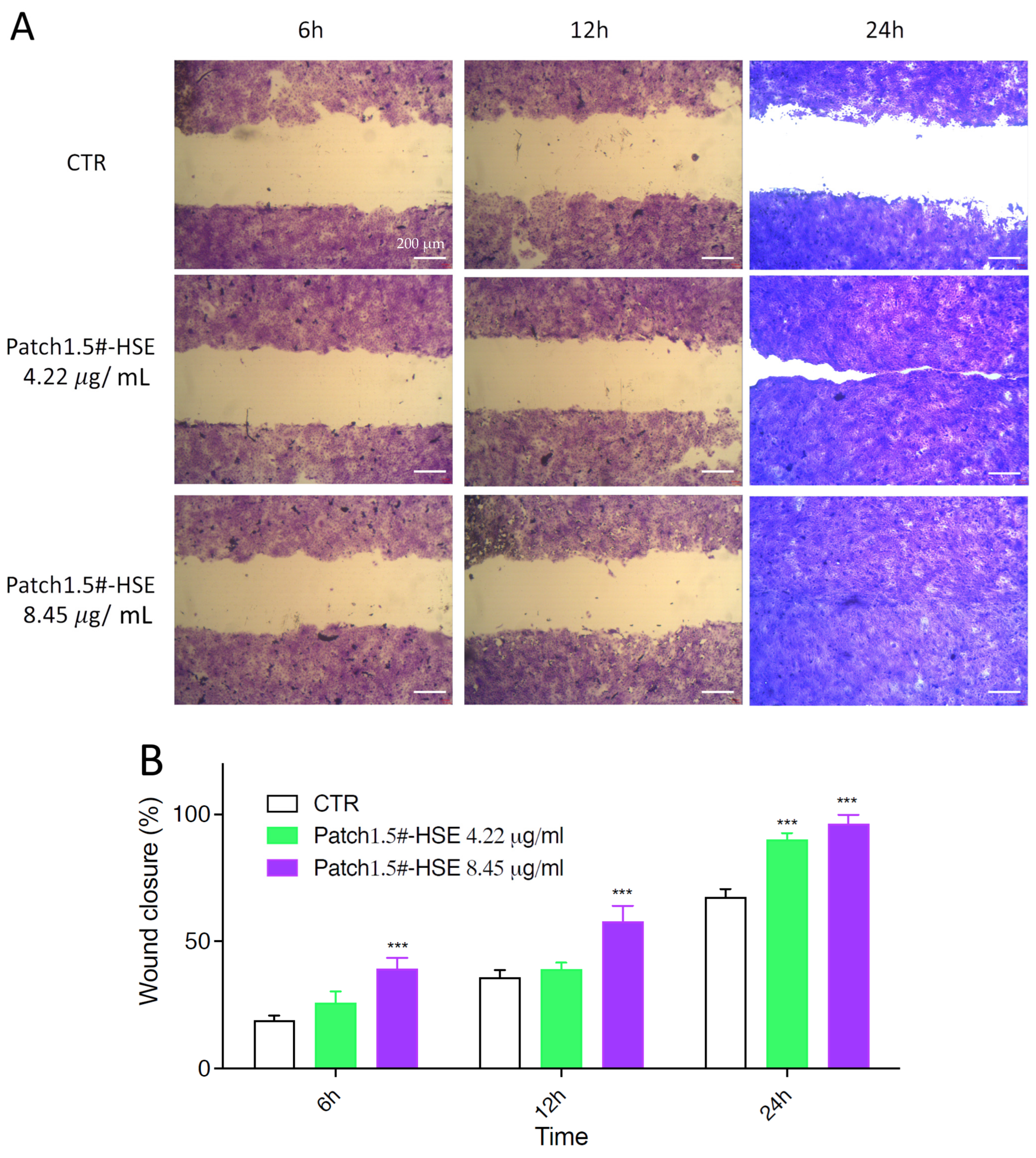 Pharmaceutics 15 02057 g007