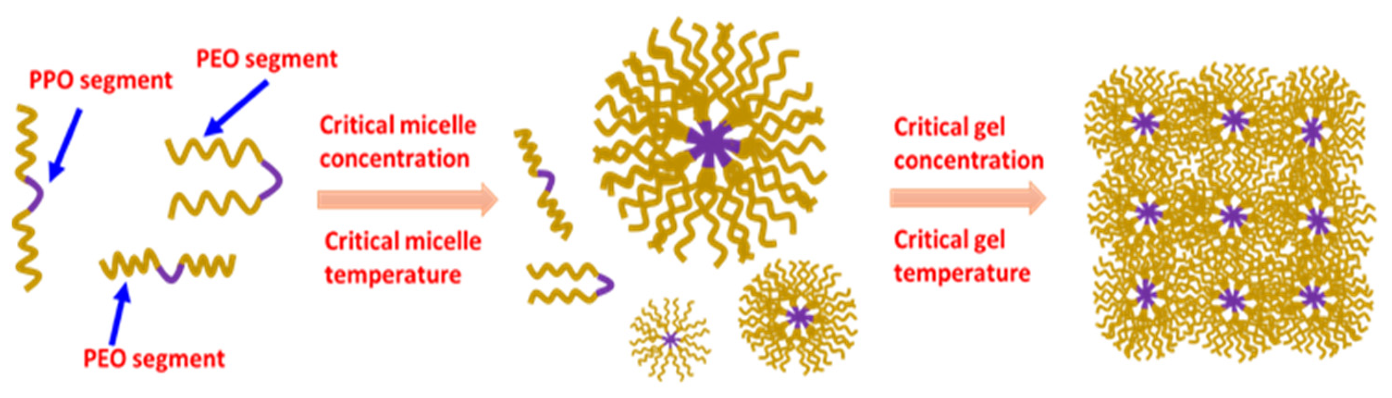 Pharmaceutics 15 02102 g001