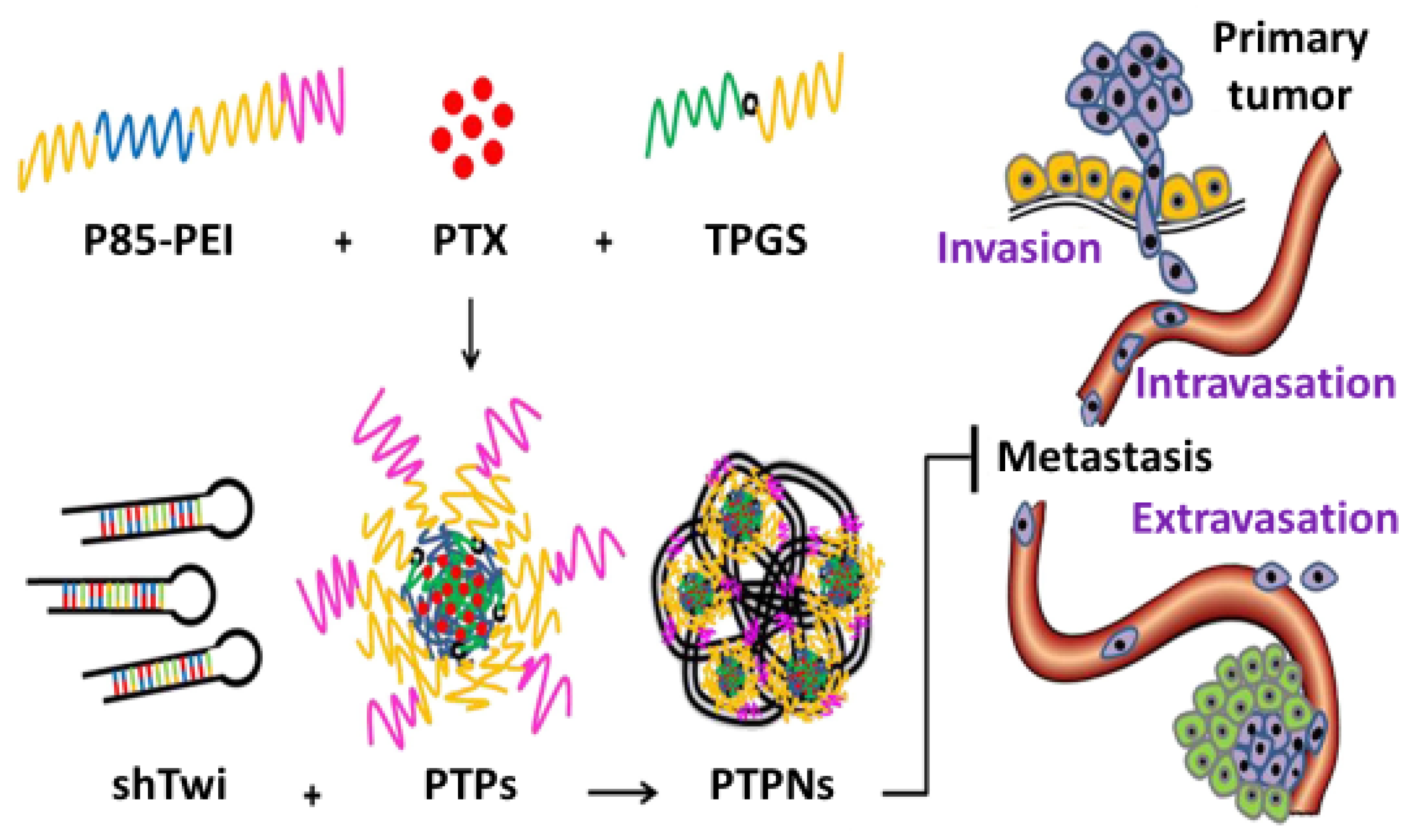Pharmaceutics 15 02102 g004