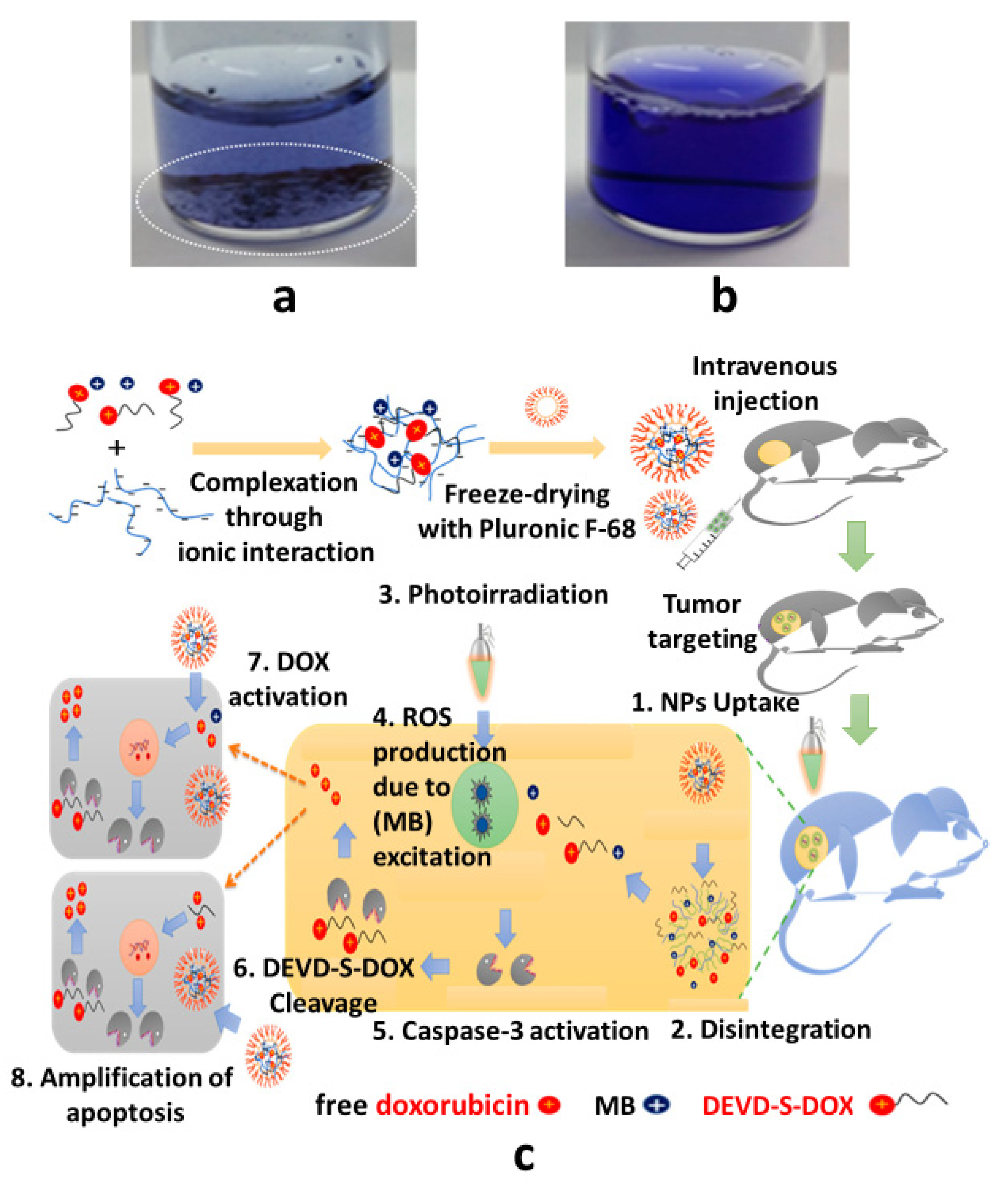 Pharmaceutics 15 02102 g005