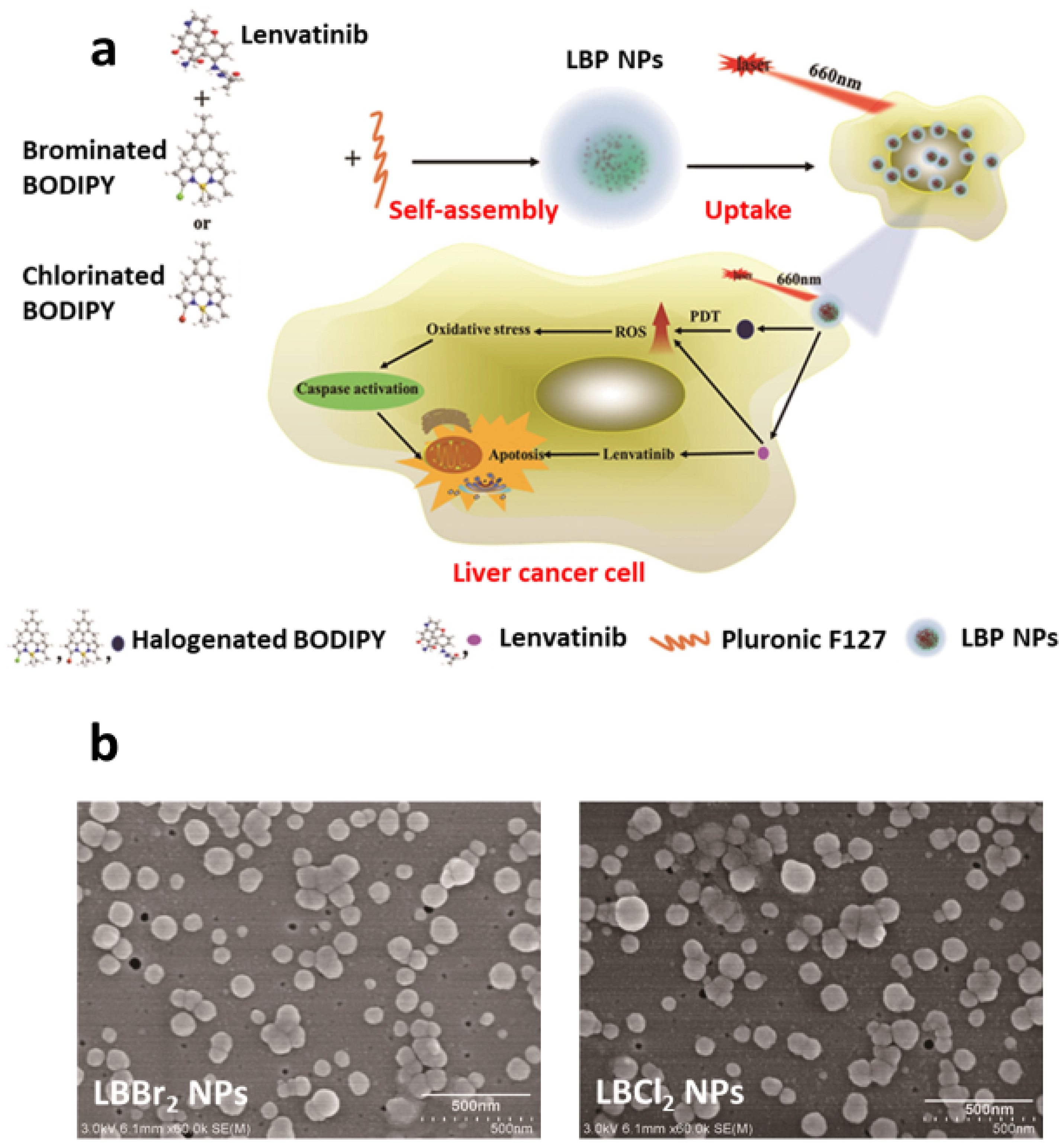 Pharmaceutics 15 02102 g006