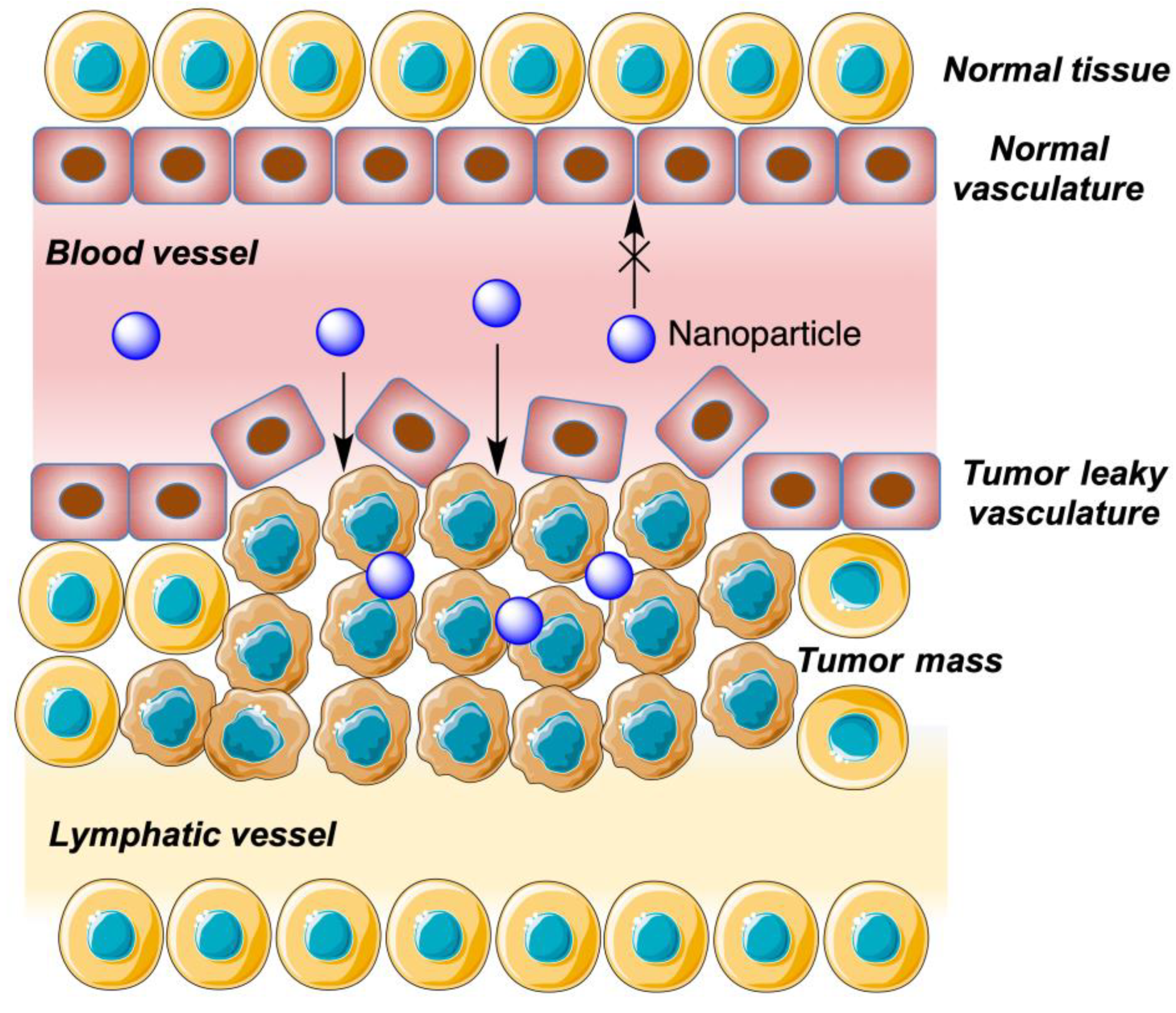 Pharmaceutics 15 02345 g009