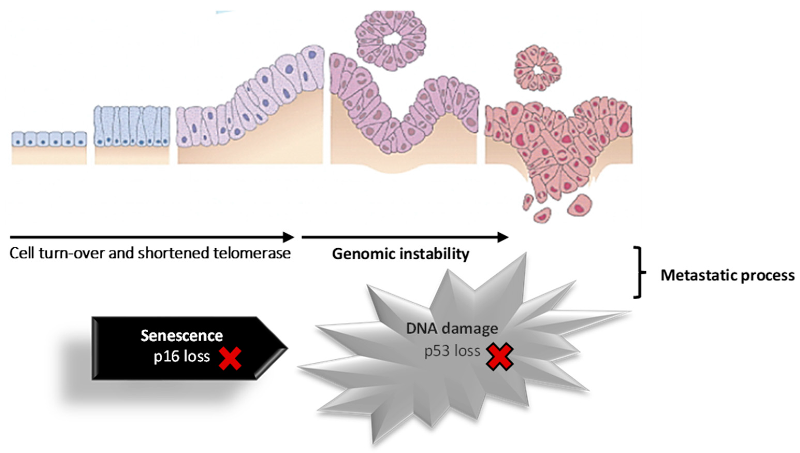 Pharmaceutics 15 02363 g002