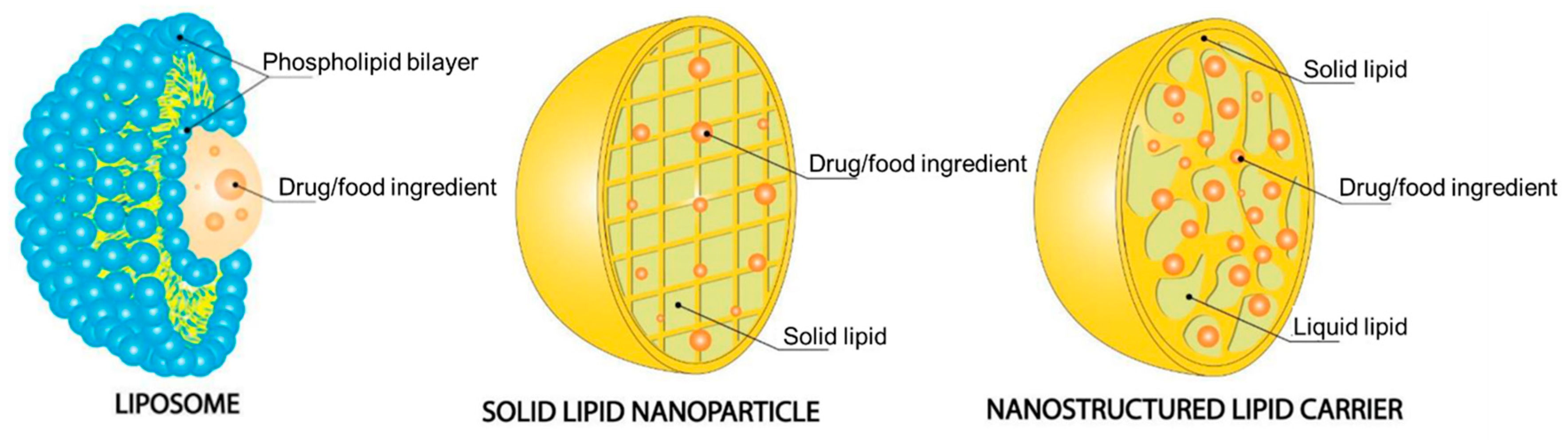 Pharmaceutics 15 02363 g004