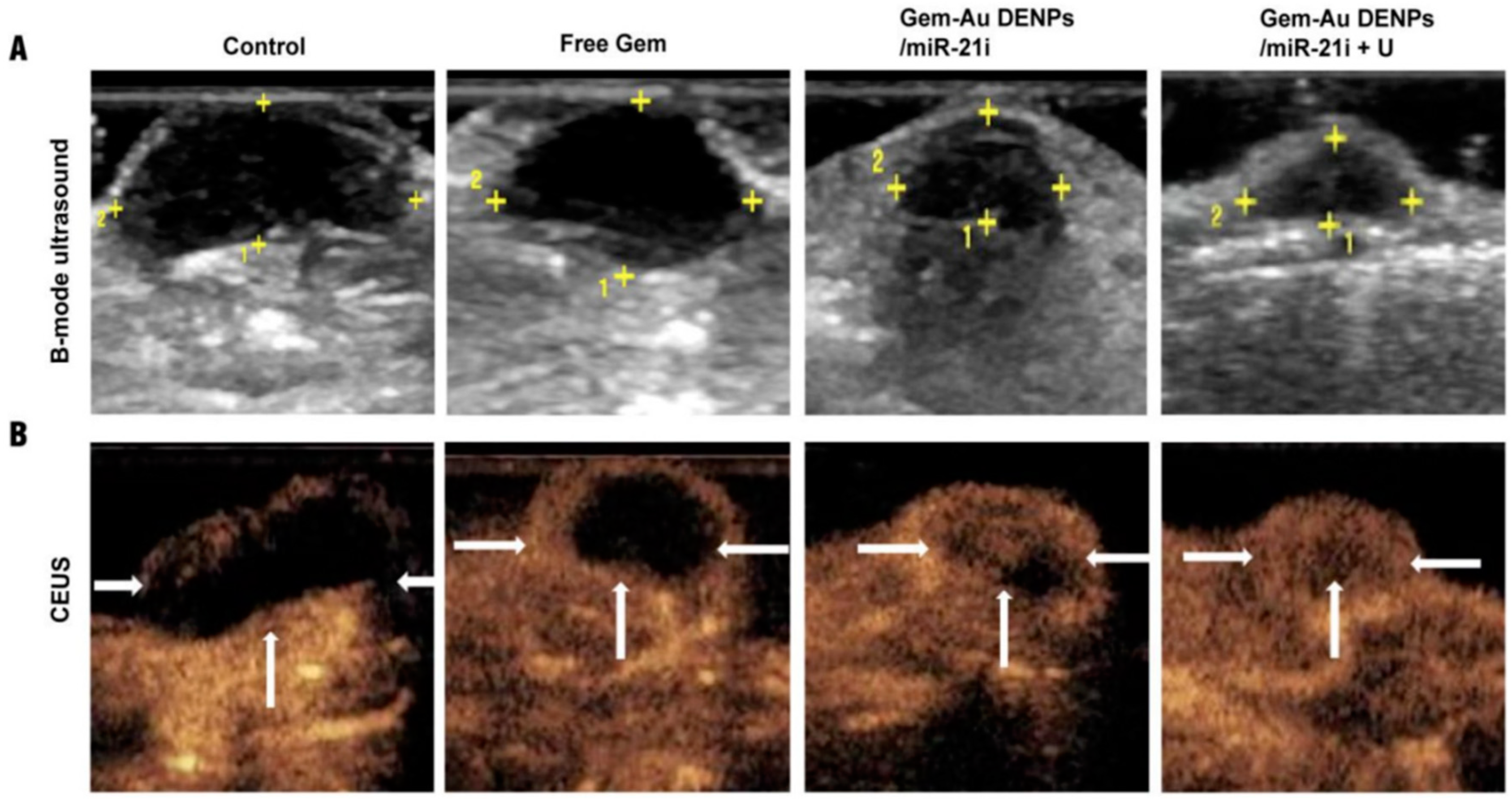 Pharmaceutics 15 02363 g007