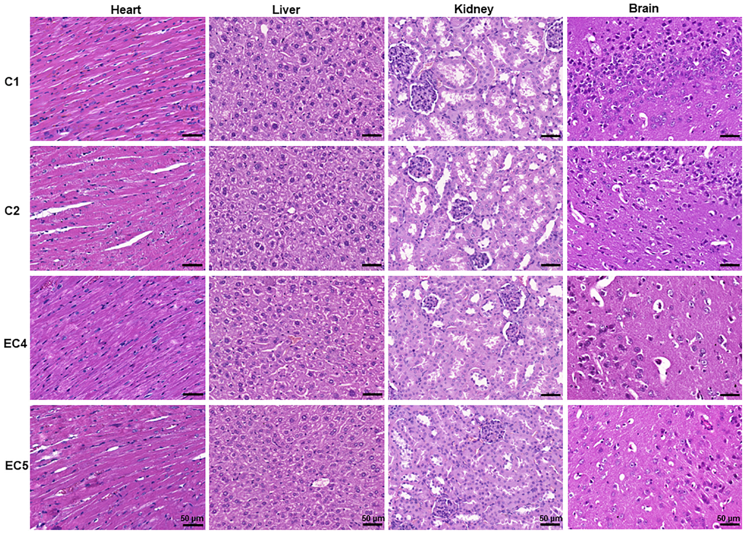 Pharmaceutics 15 02417 g007
