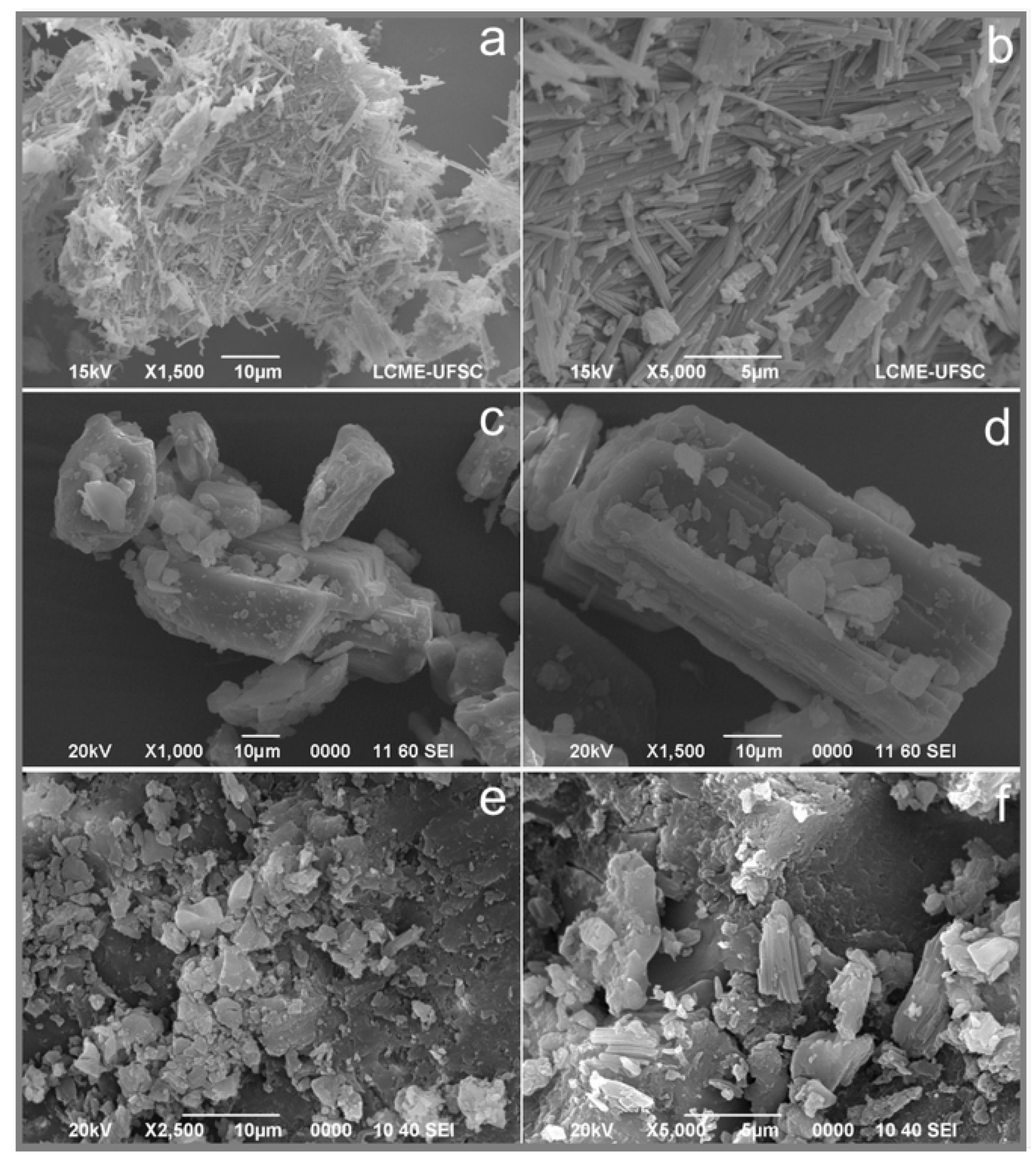 Pharmaceutics 15 02446 g008