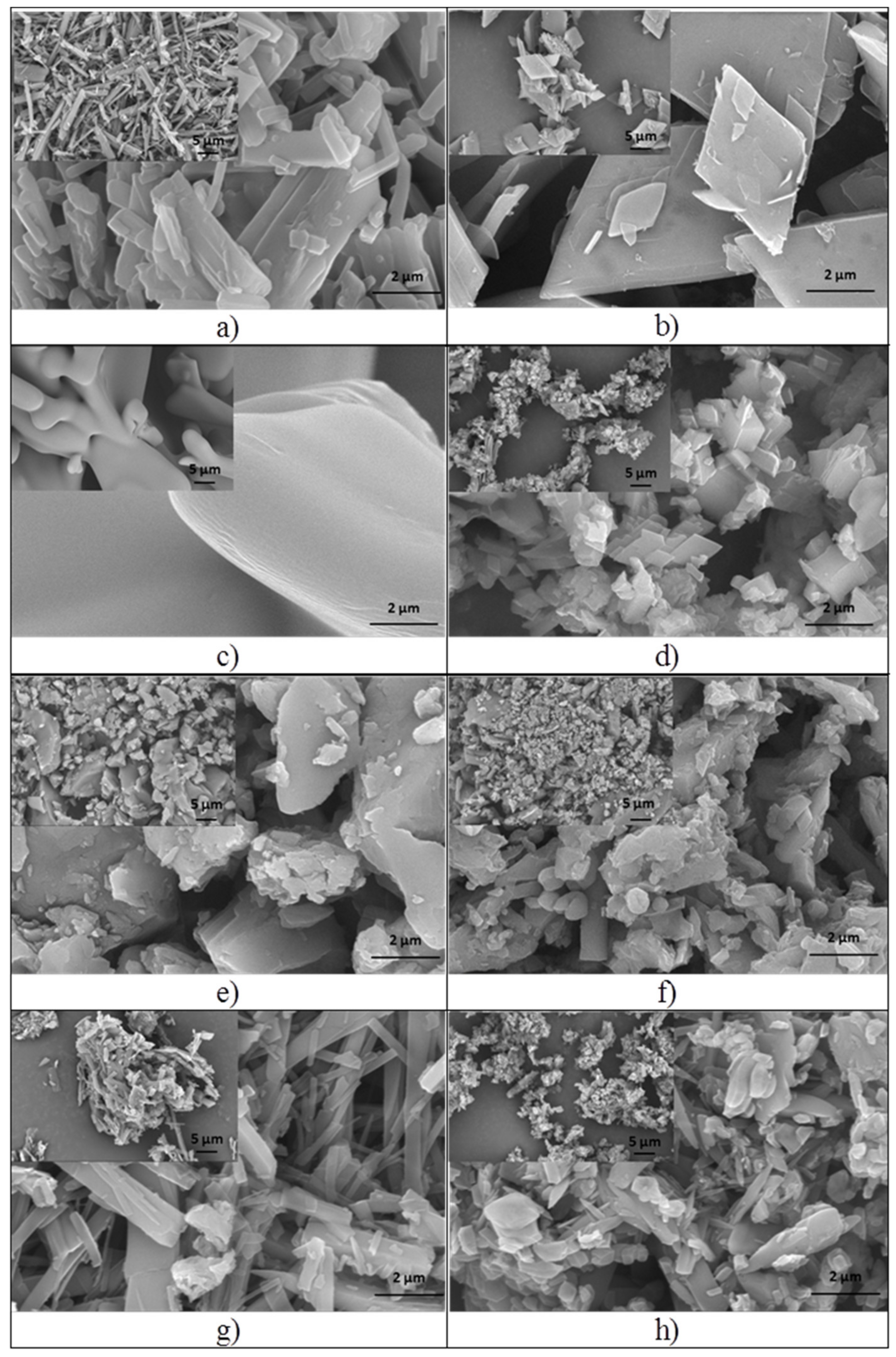 Pharmaceutics 15 02492 g002
