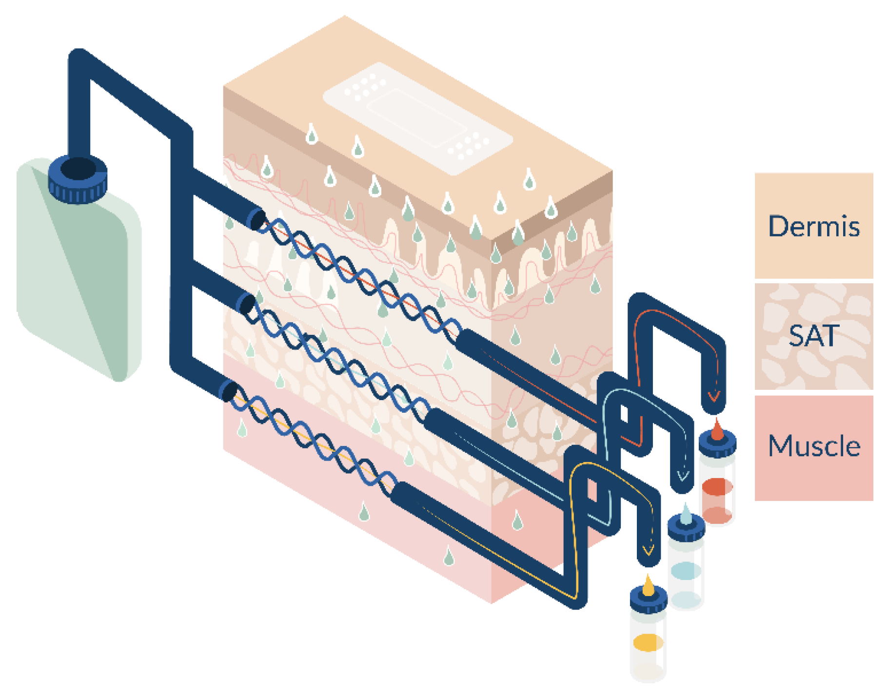 Pharmaceutics 15 02563 g001